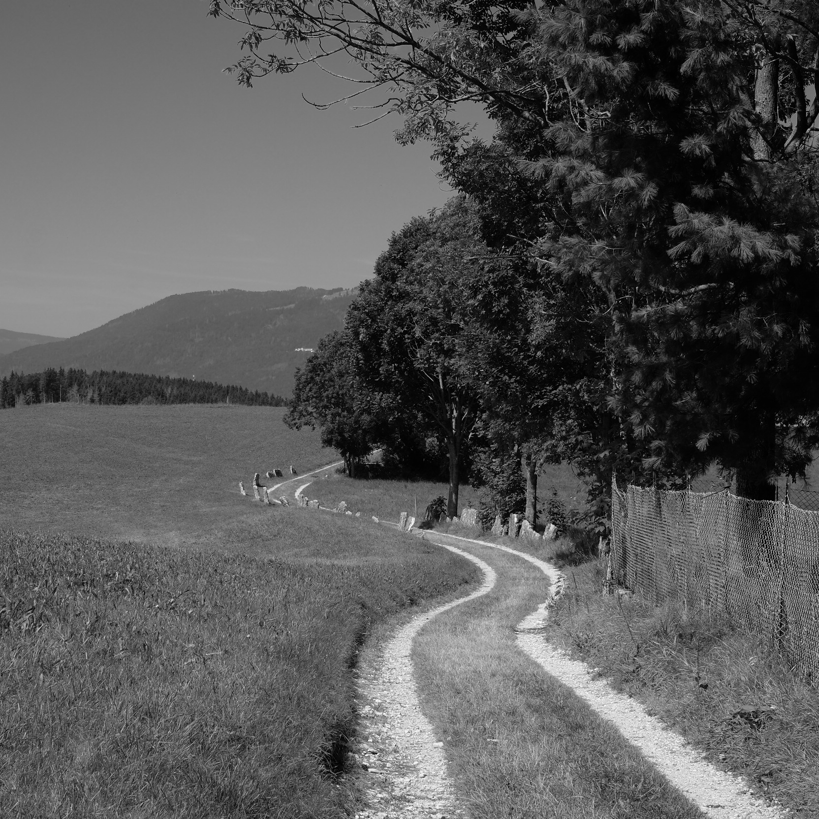 Path and mystery