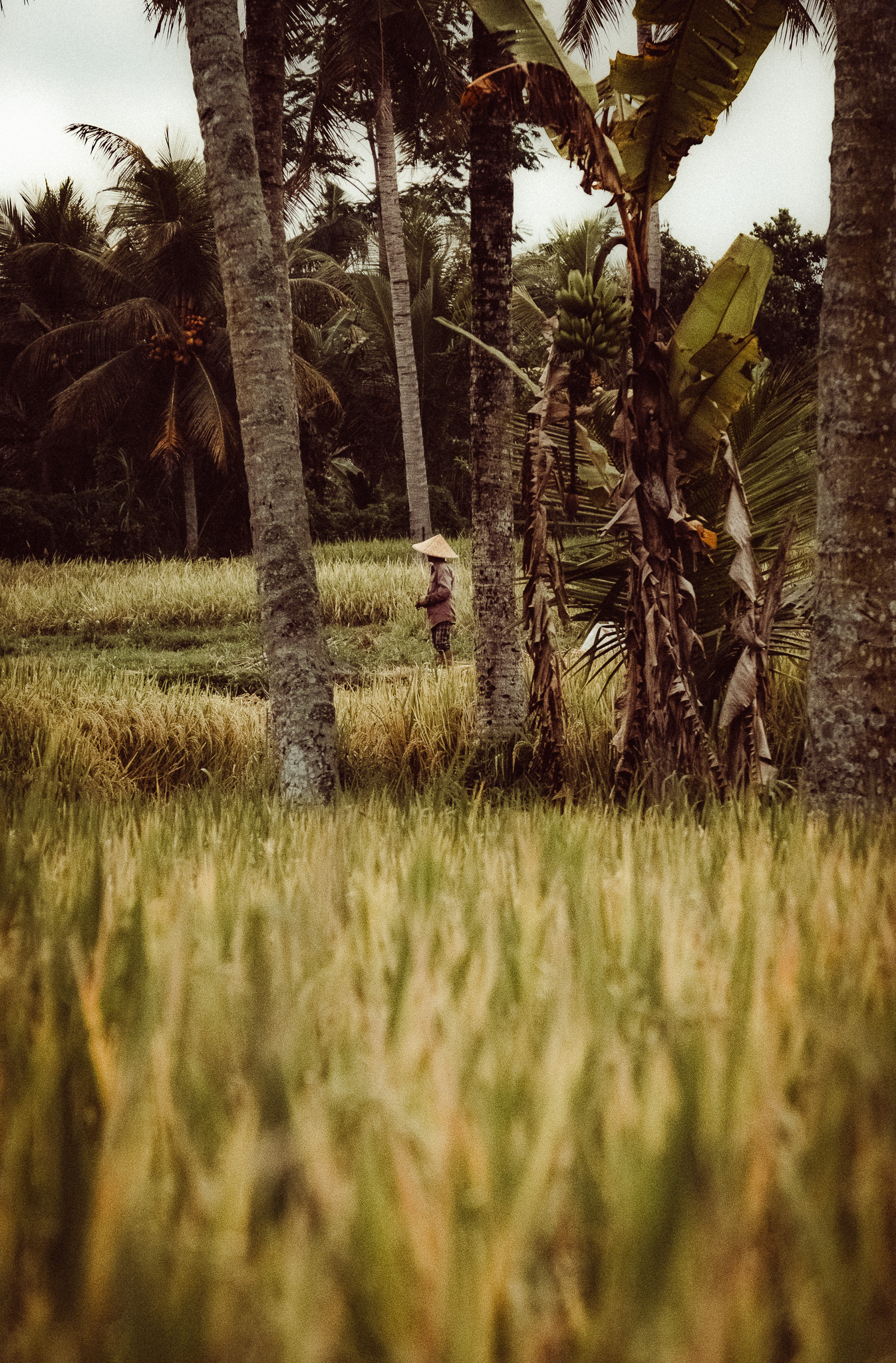 Balinese people