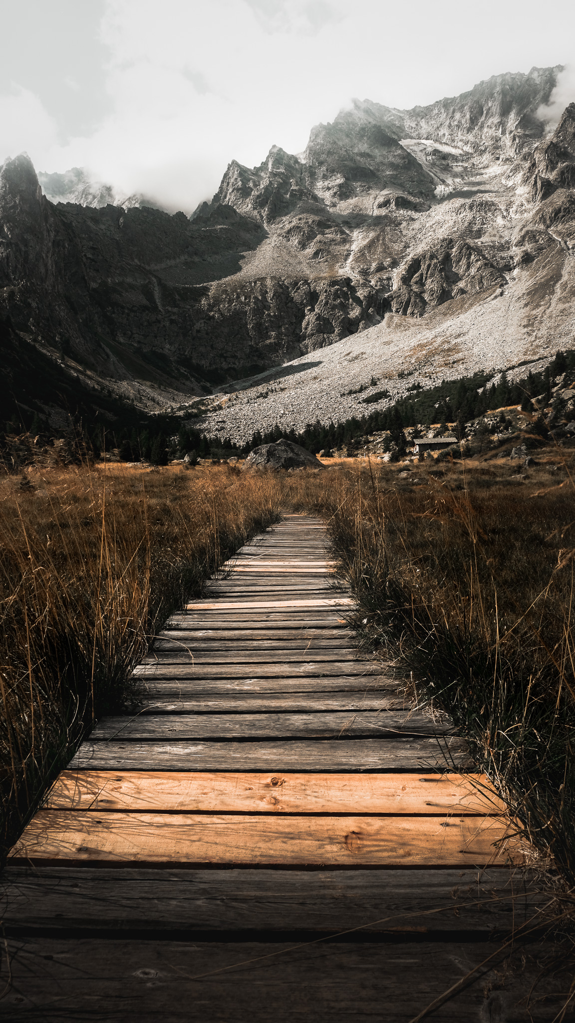The tundra walkway