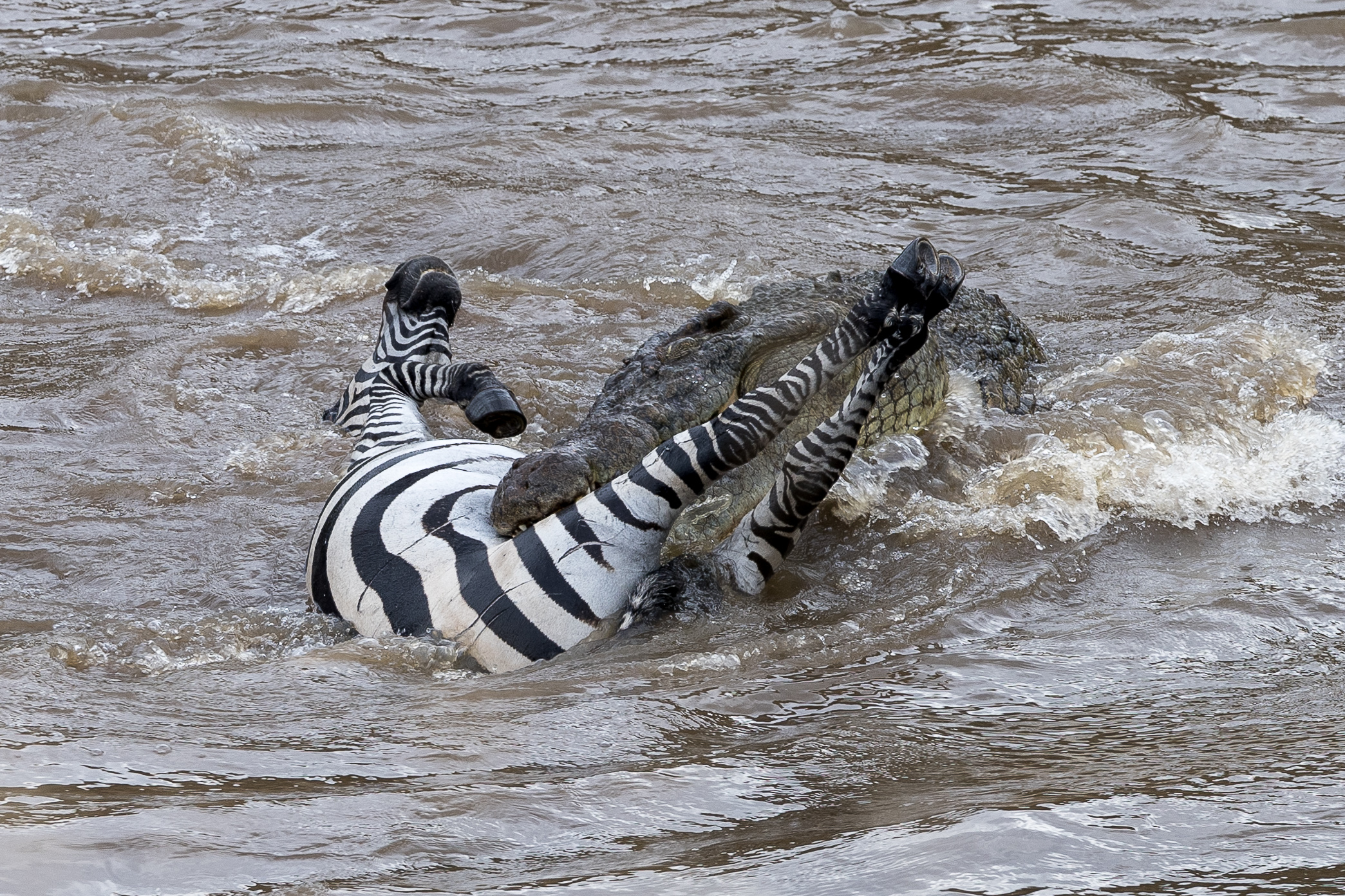 Vita e morte al Masai Mara, ore 16:11 e 13 secondi