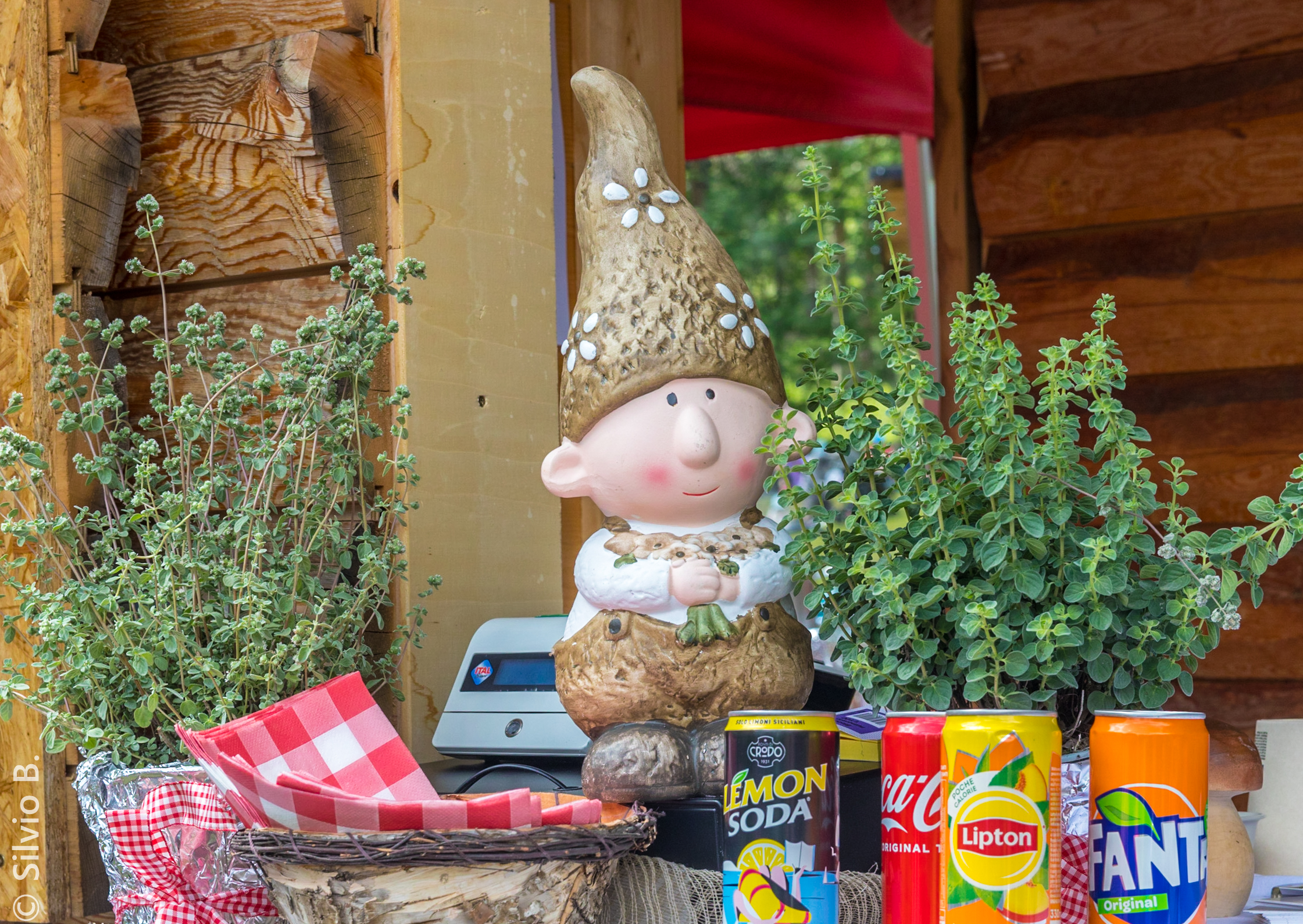 exceptional bartender