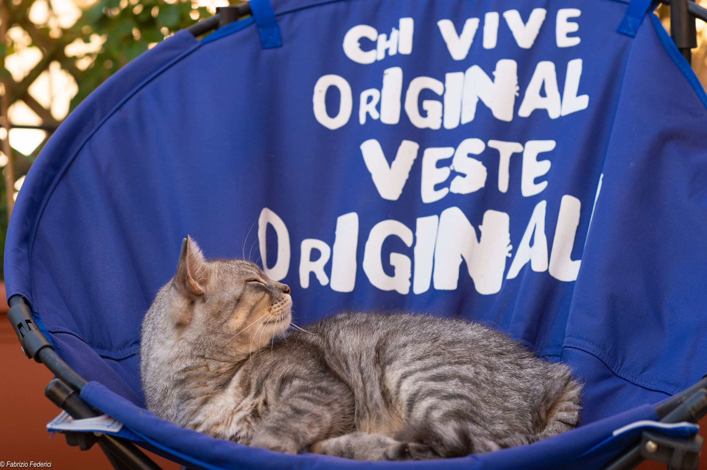Original