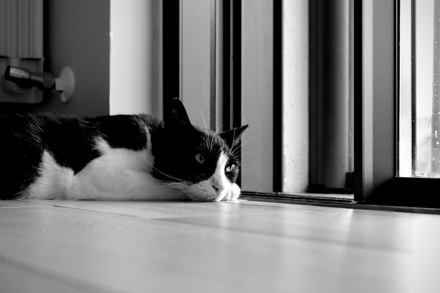Melancholy of a sultry August afternoon