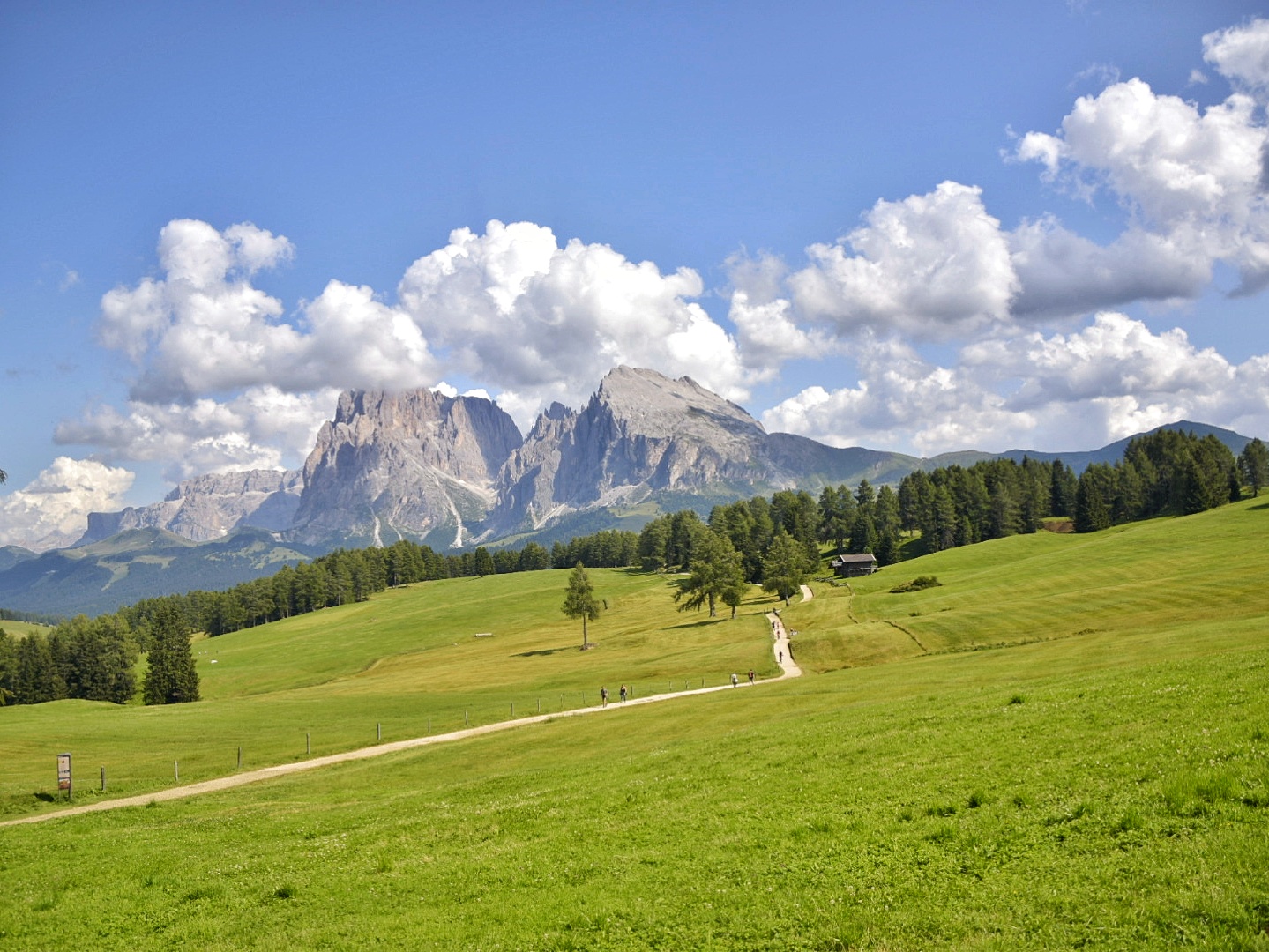 Alpe di Siusi
