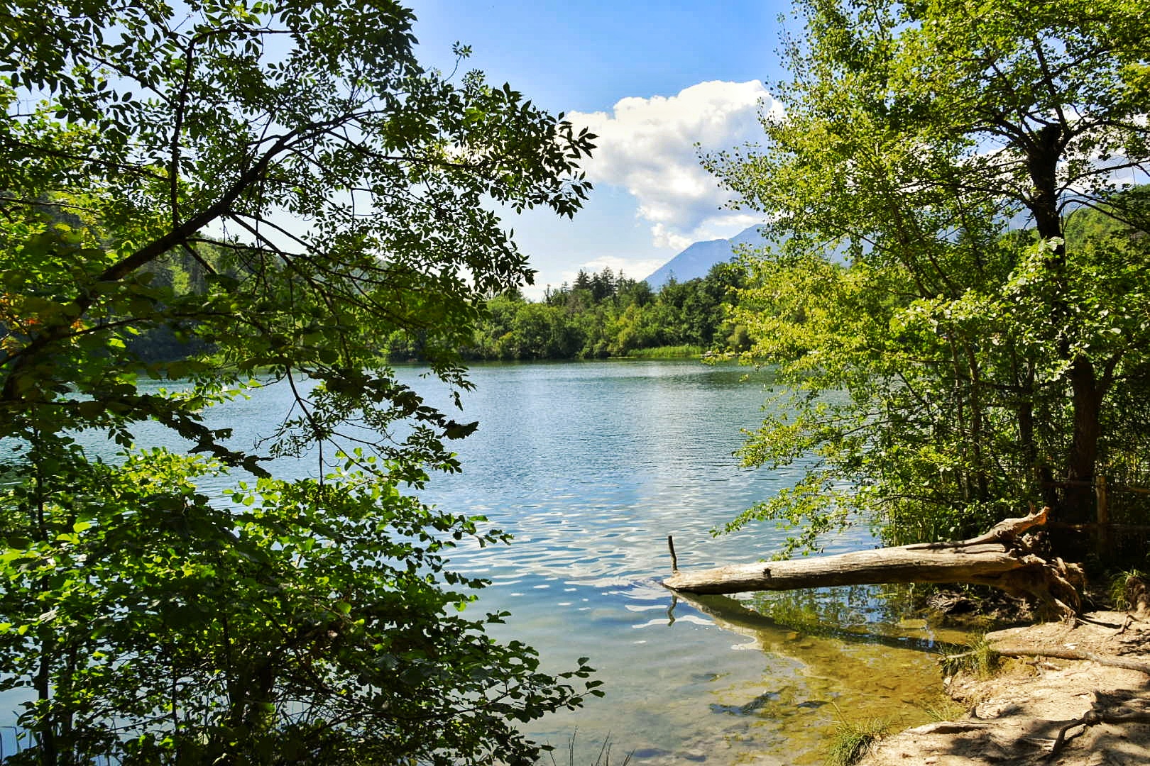 Lago di Monticolo