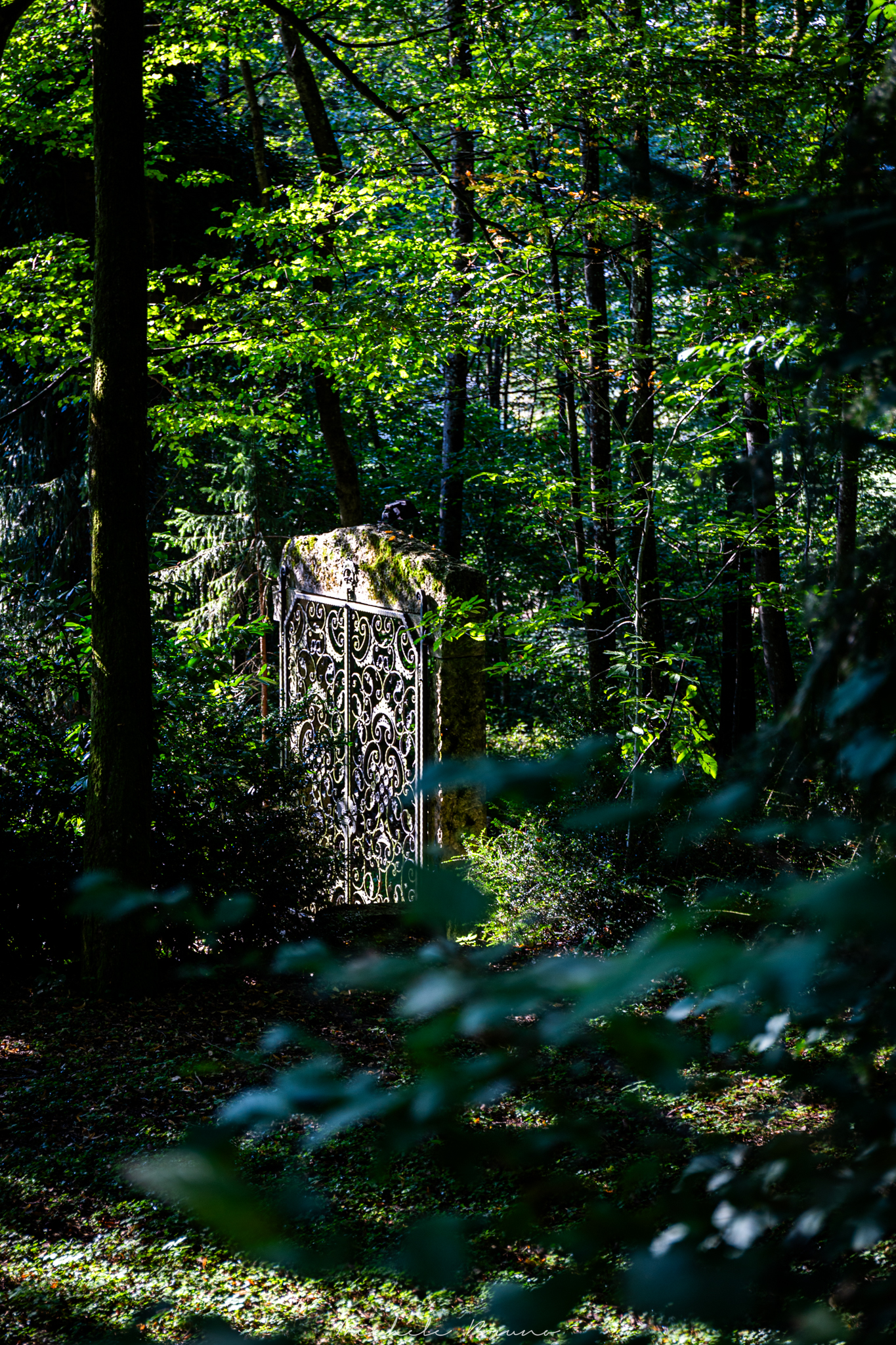 Gate for nowhere -Bled-