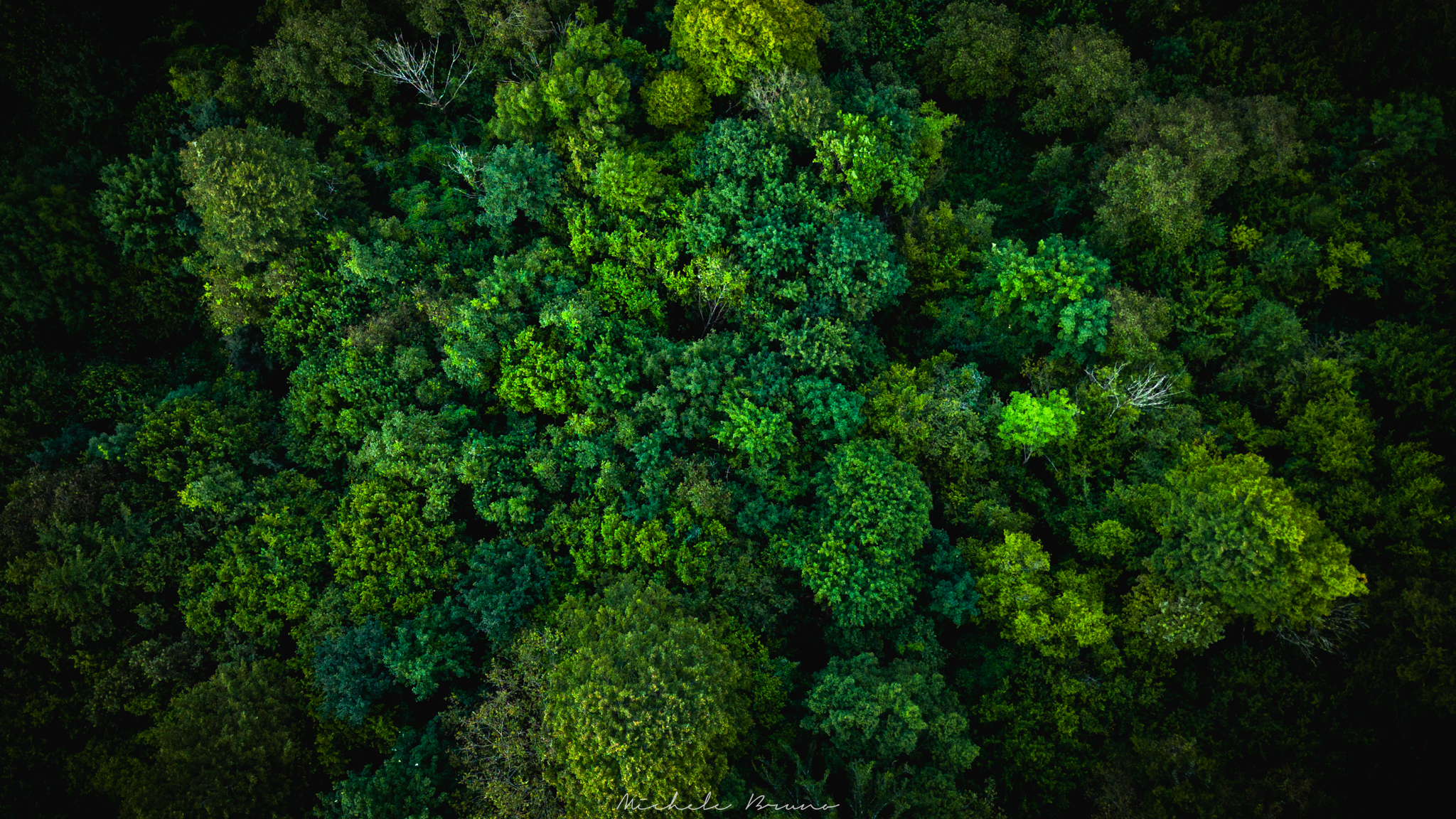 Deep Green -Slovenia-