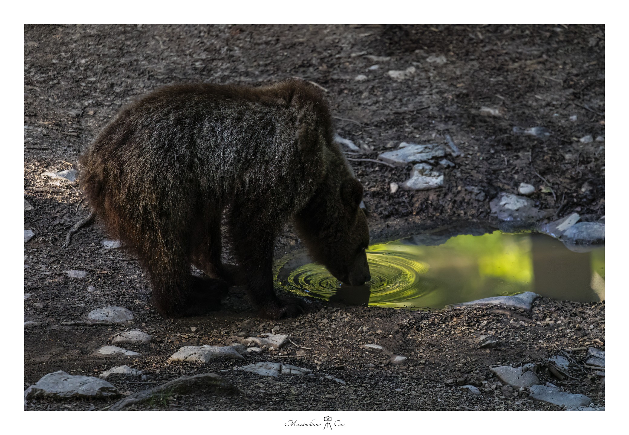 Lo specchio d'acqua