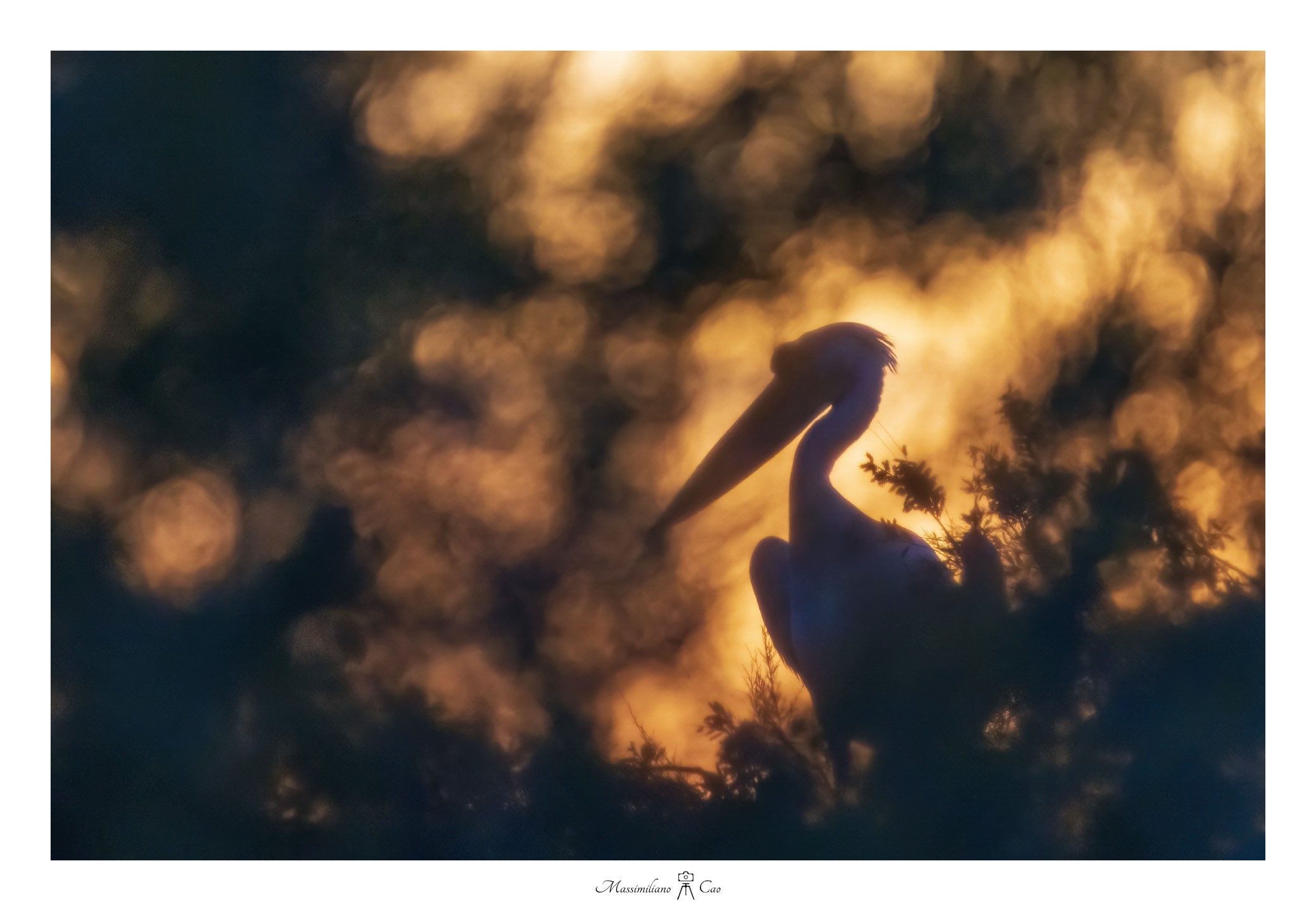 Sunset in the front row