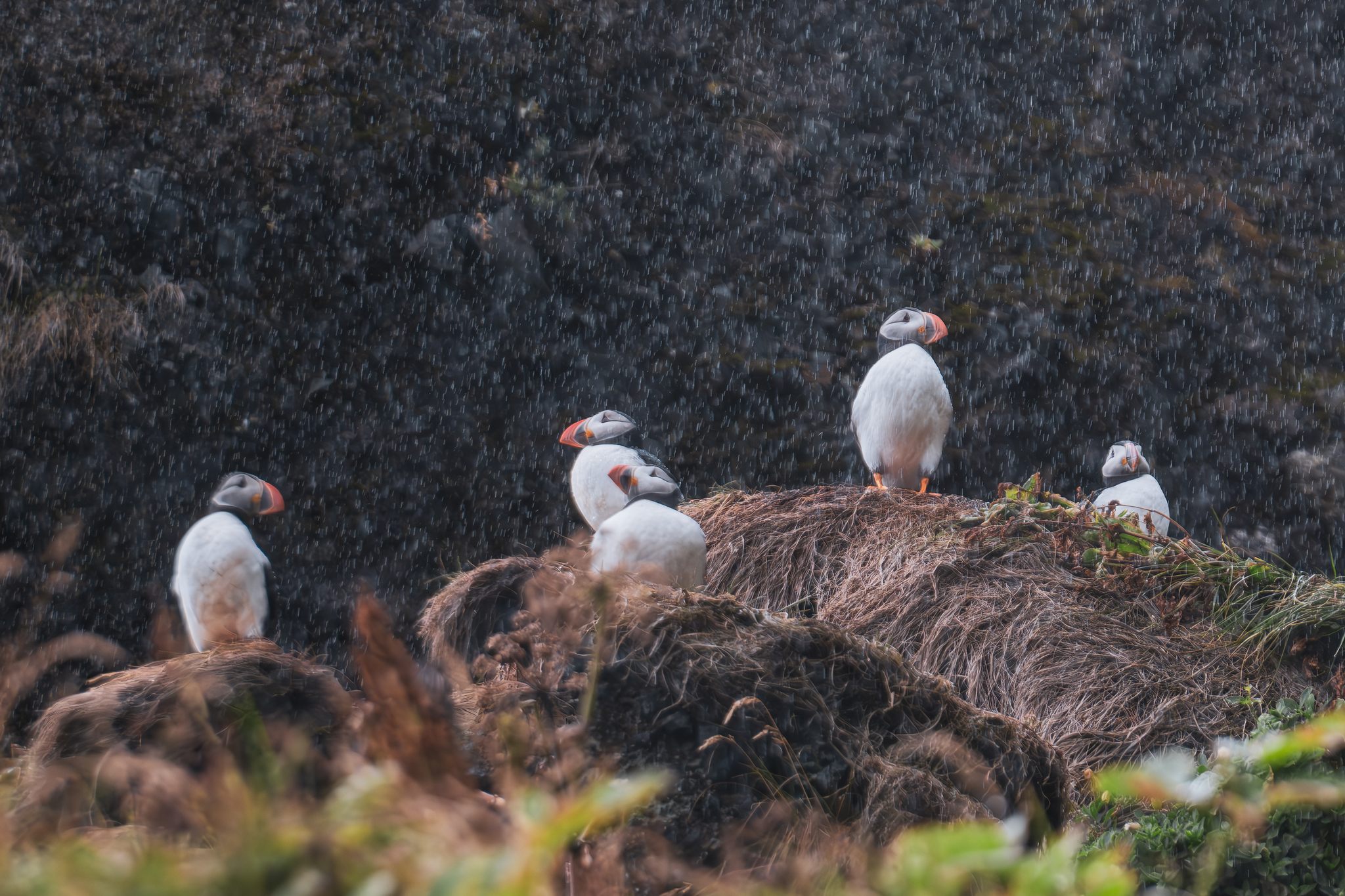 In the rain