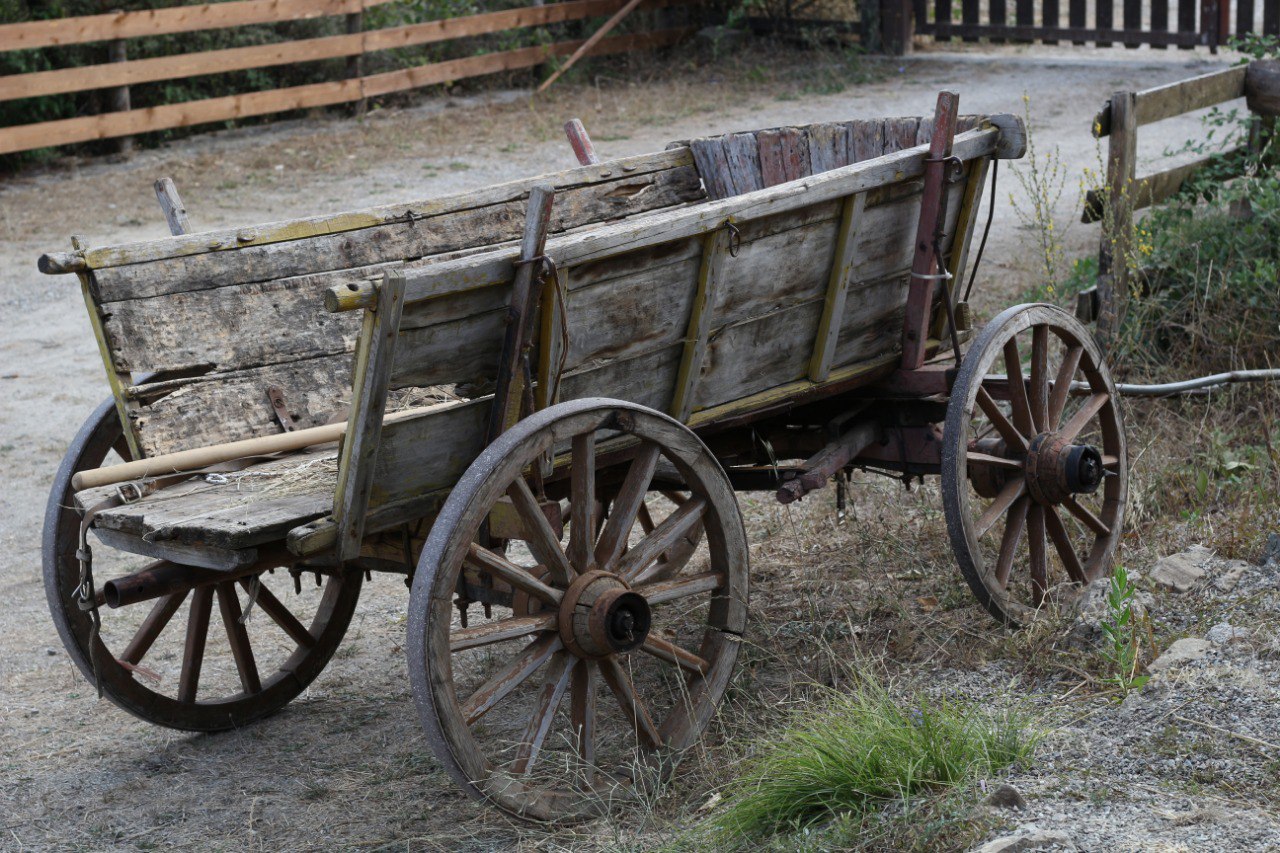 Wagon