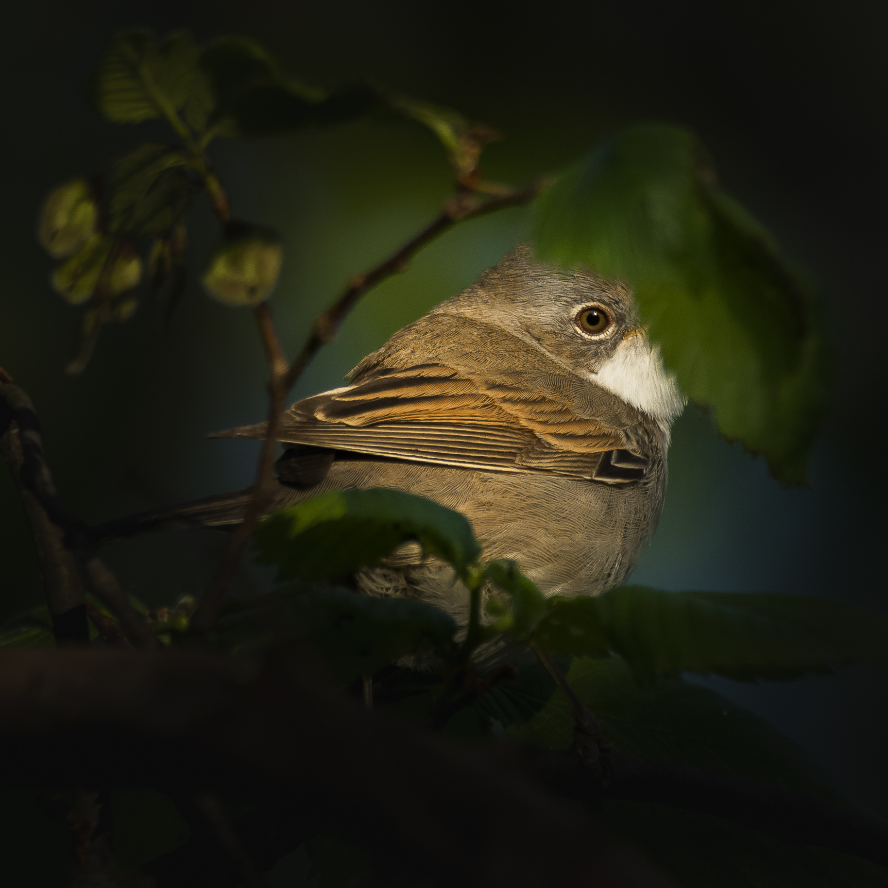 Una prospettiva insolita