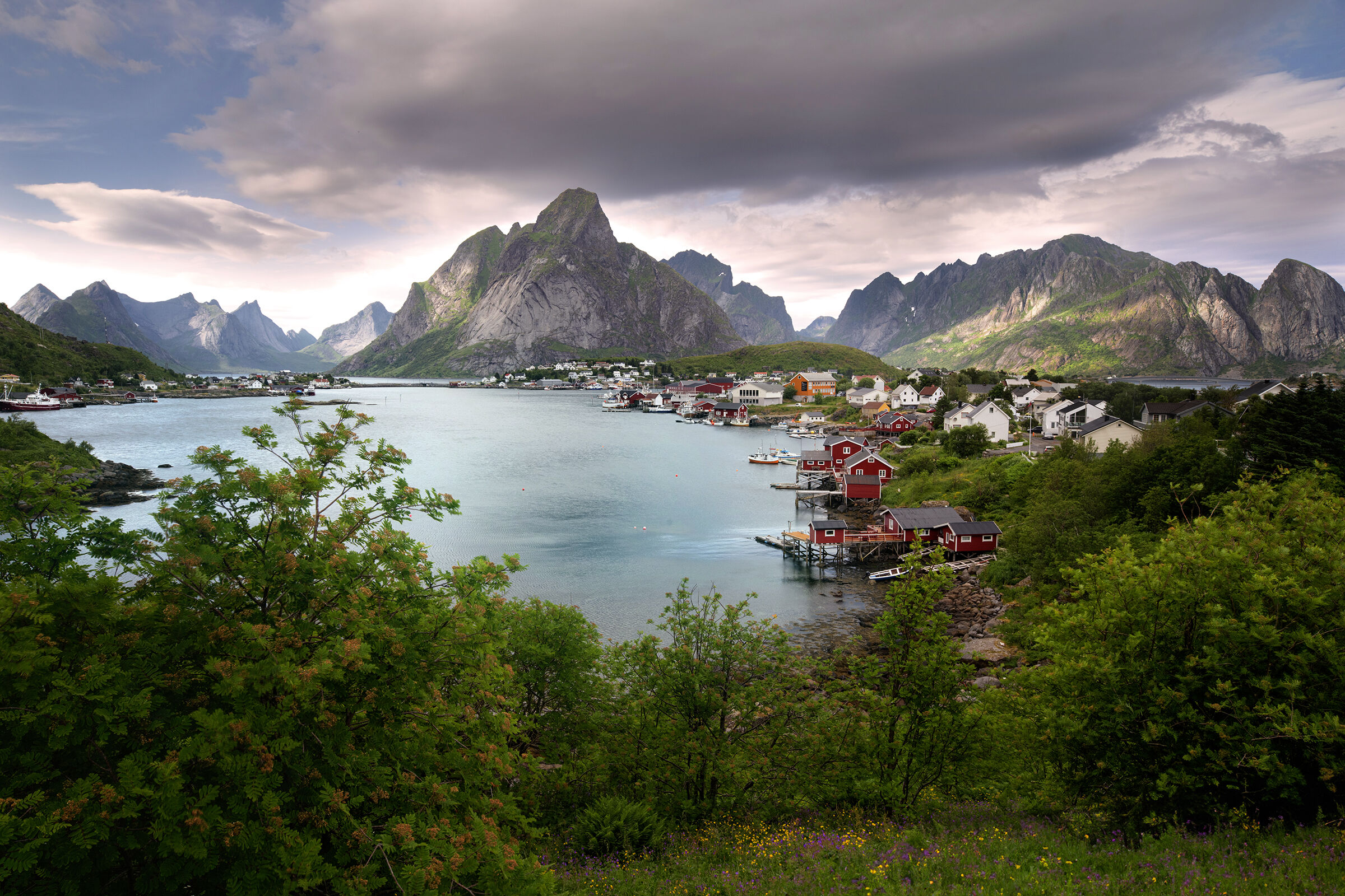 Reine