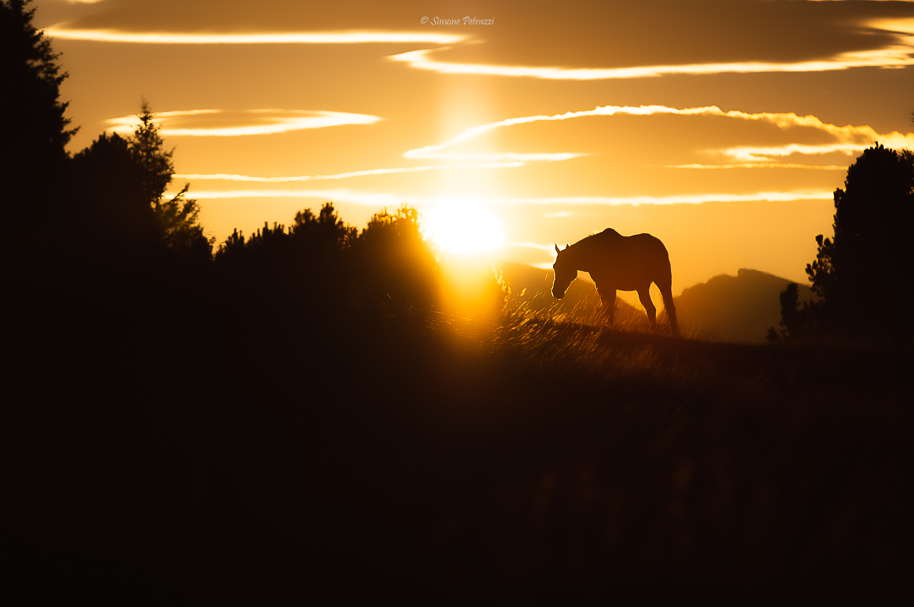 The right meeting at the right time