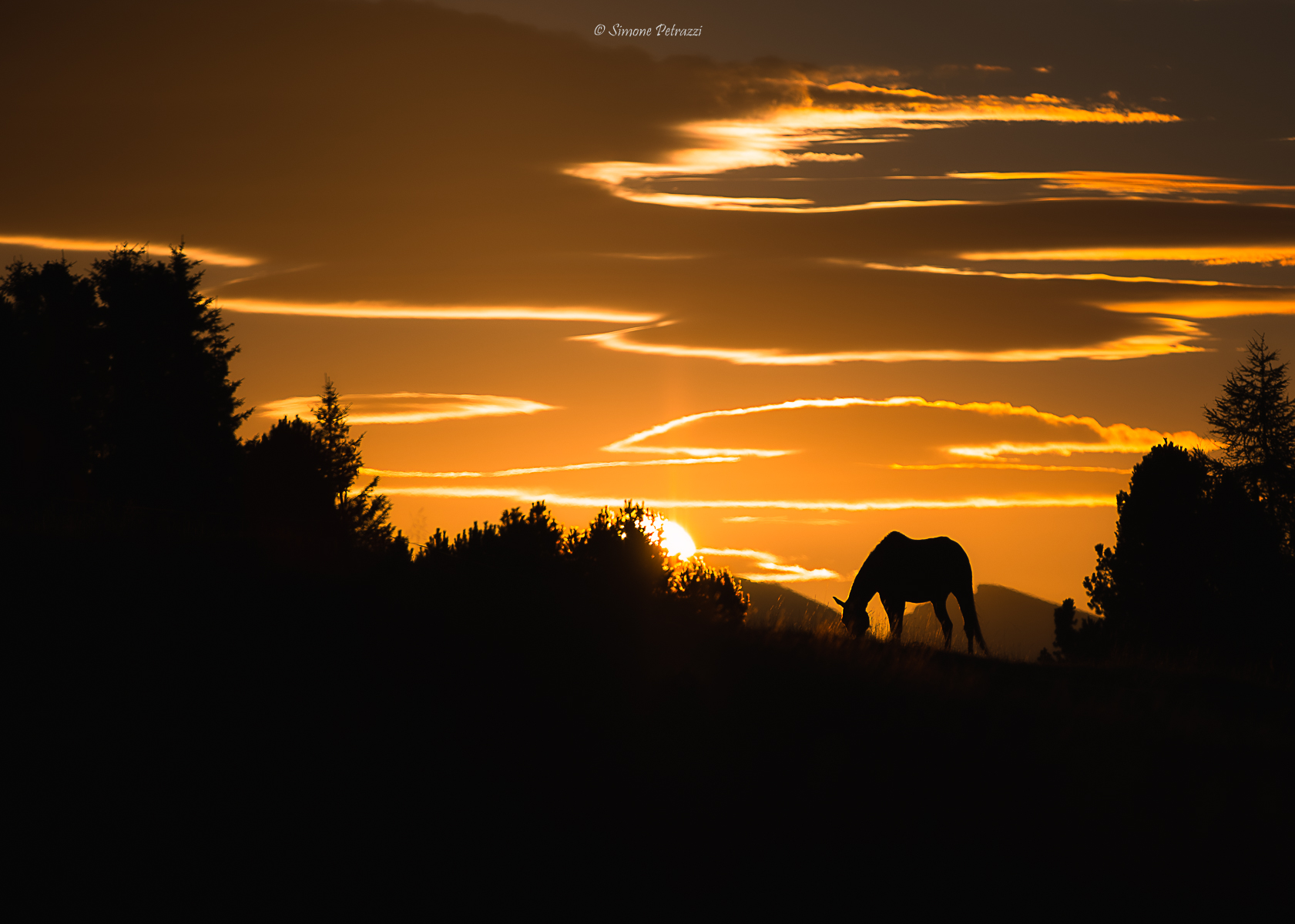 The right meeting at the right time