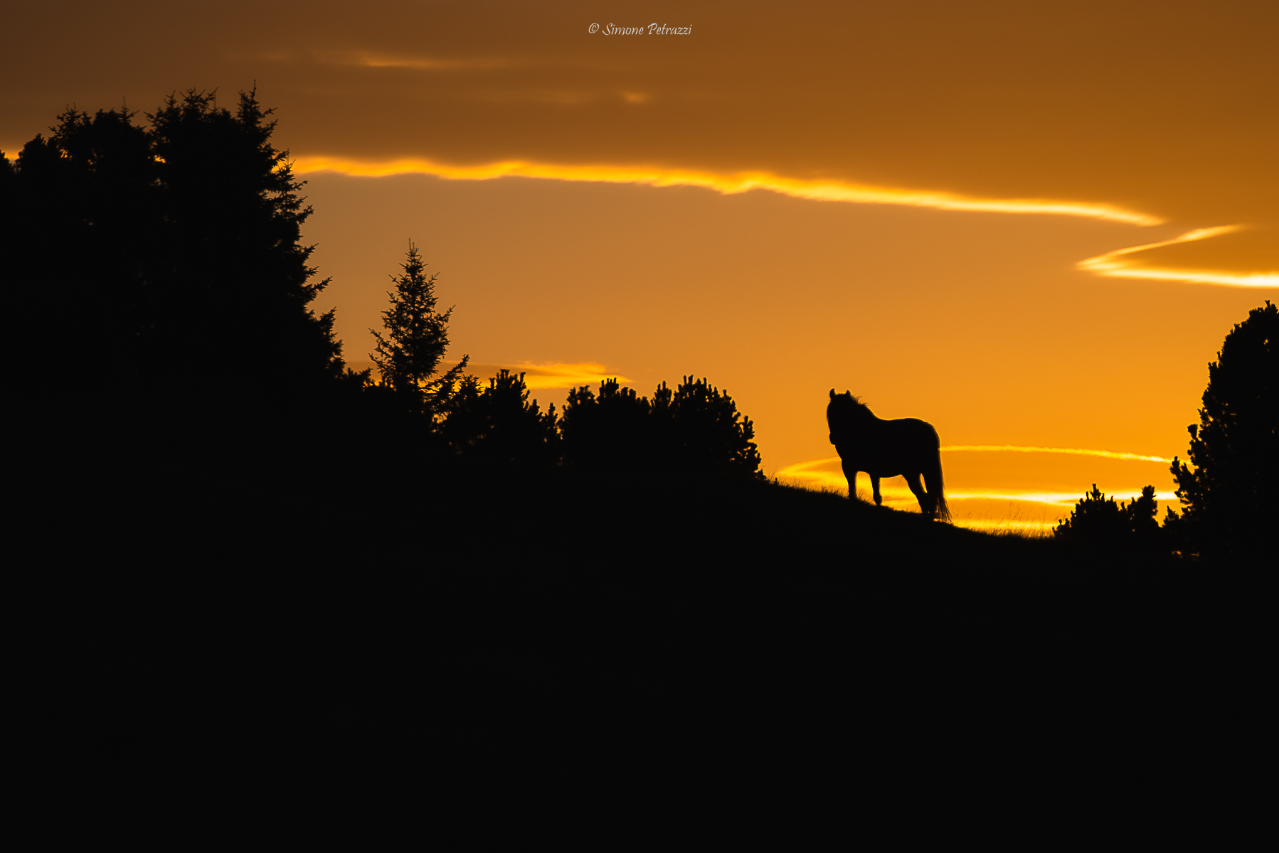 The right meeting at the right time