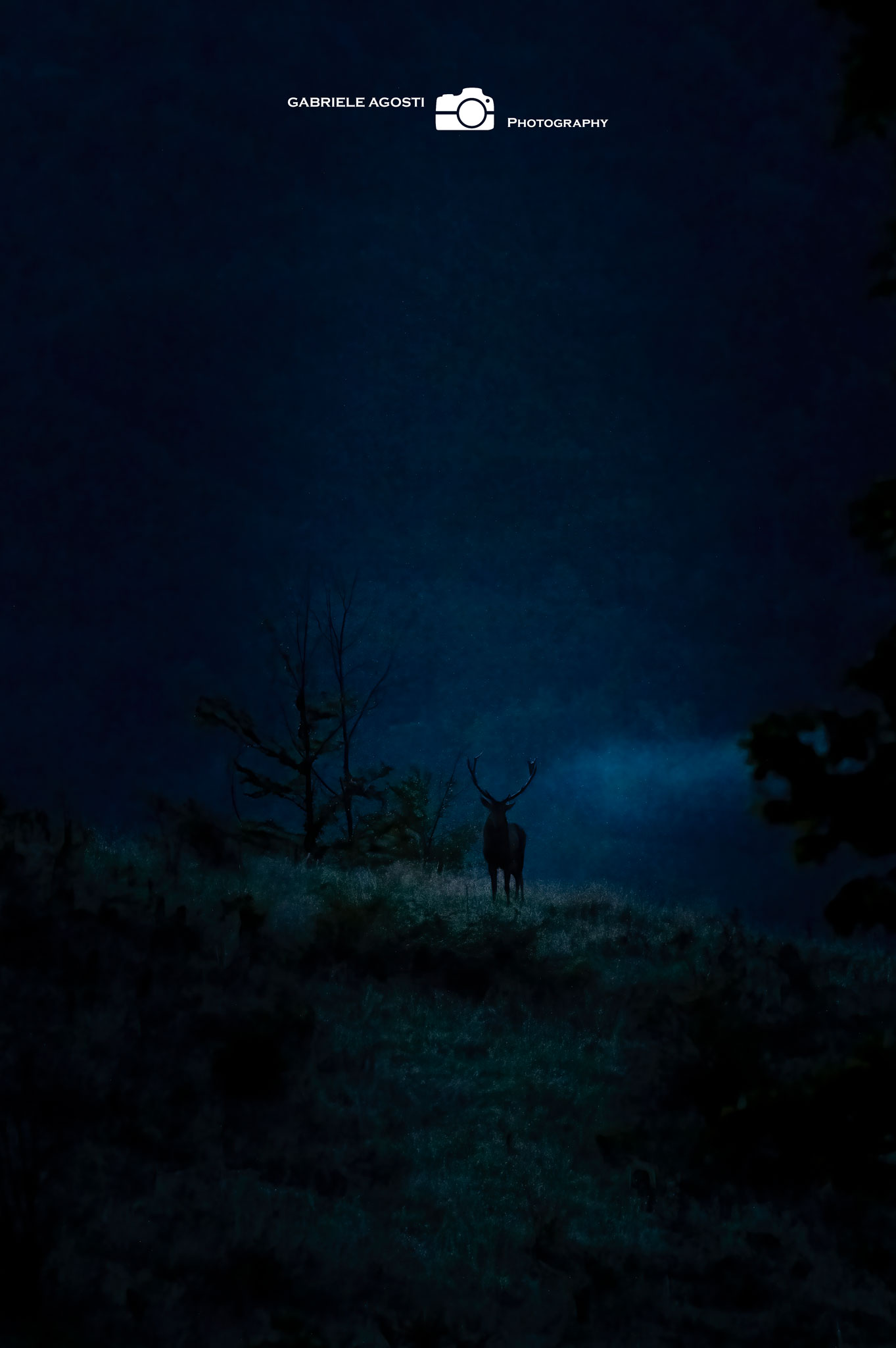 Just before sunrise