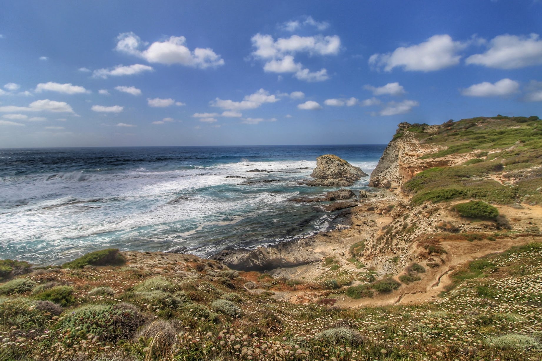 Admiring the coast