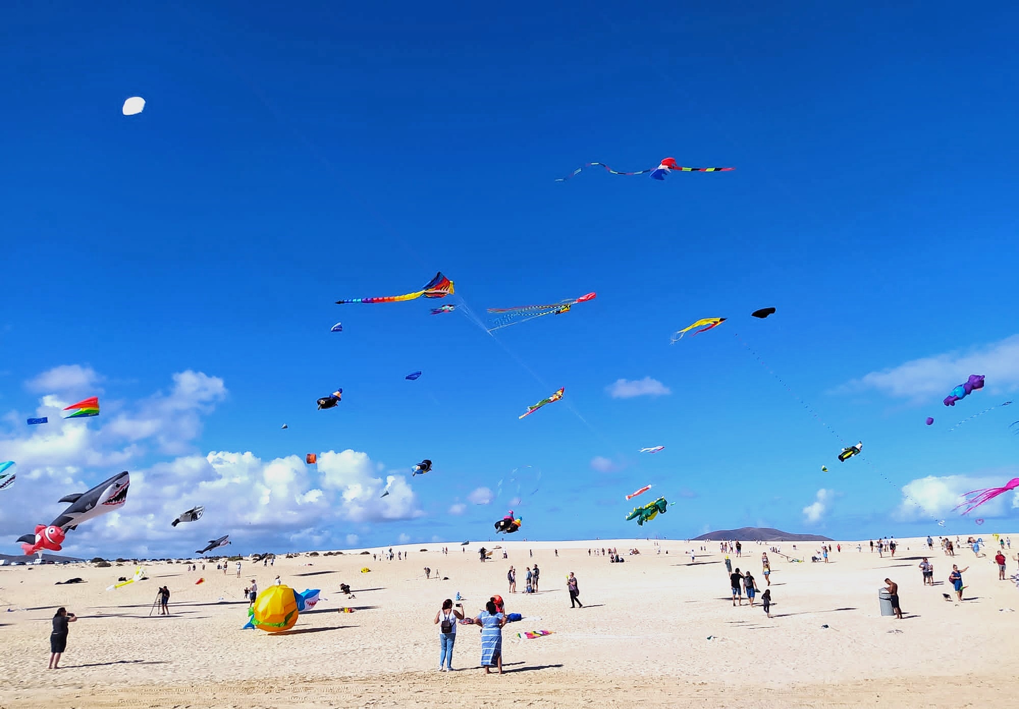 Kite Festival in Fuerteventura