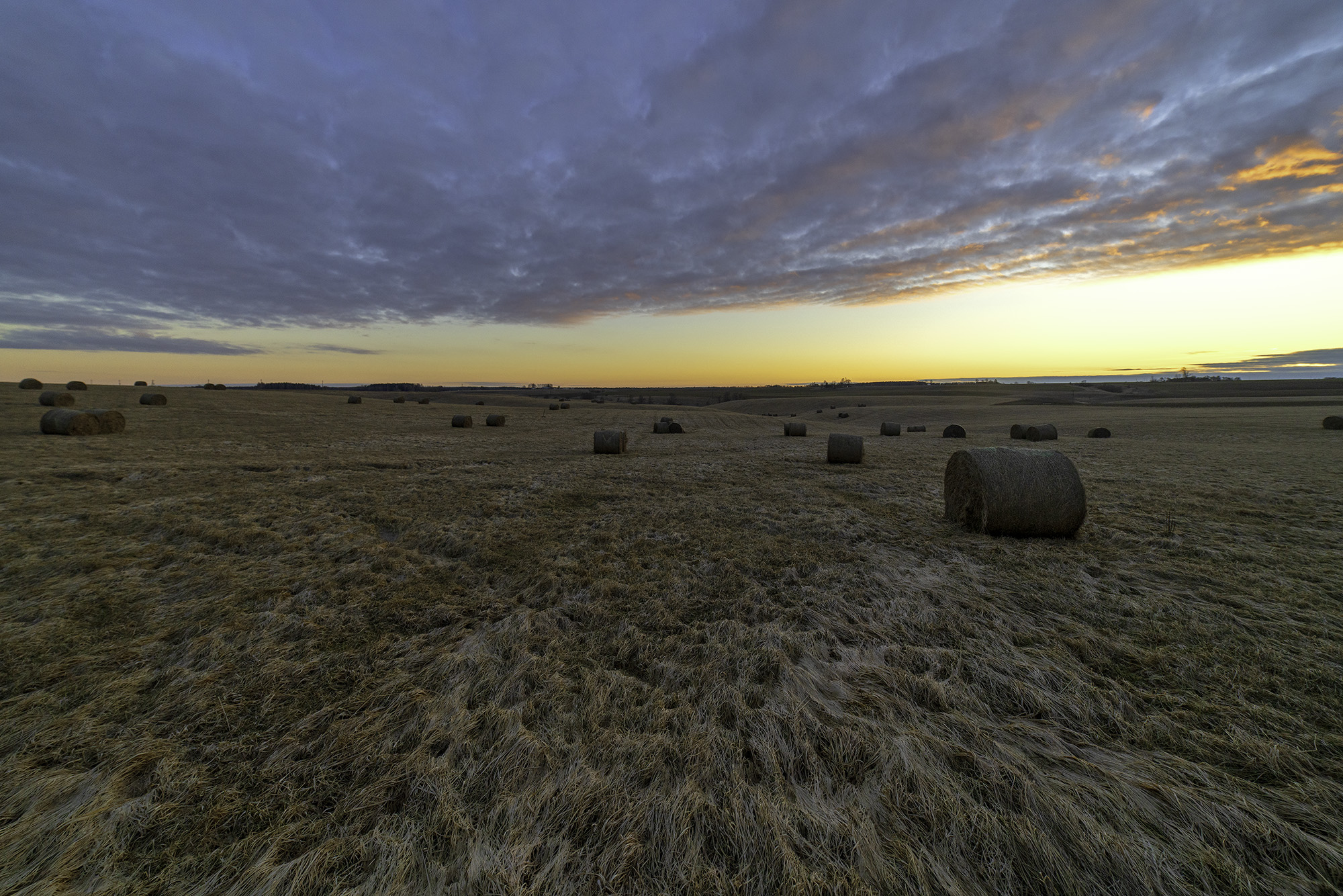 Il freddo invernale è andato...