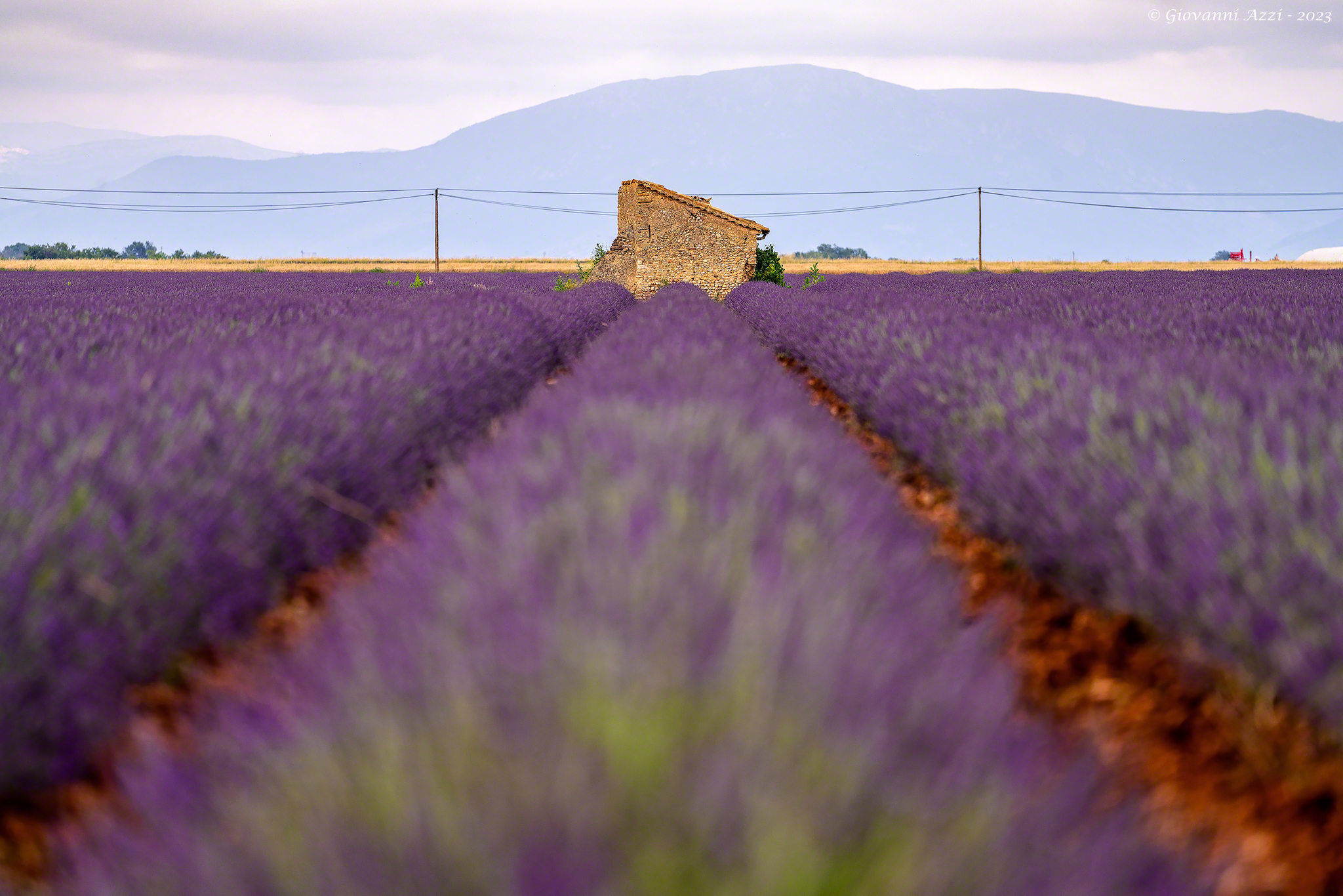 Equilibrio provenzale