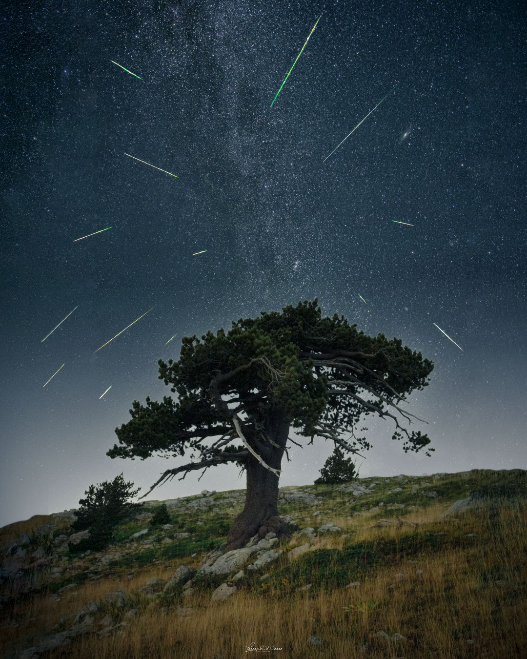 Esprimi un desiderio