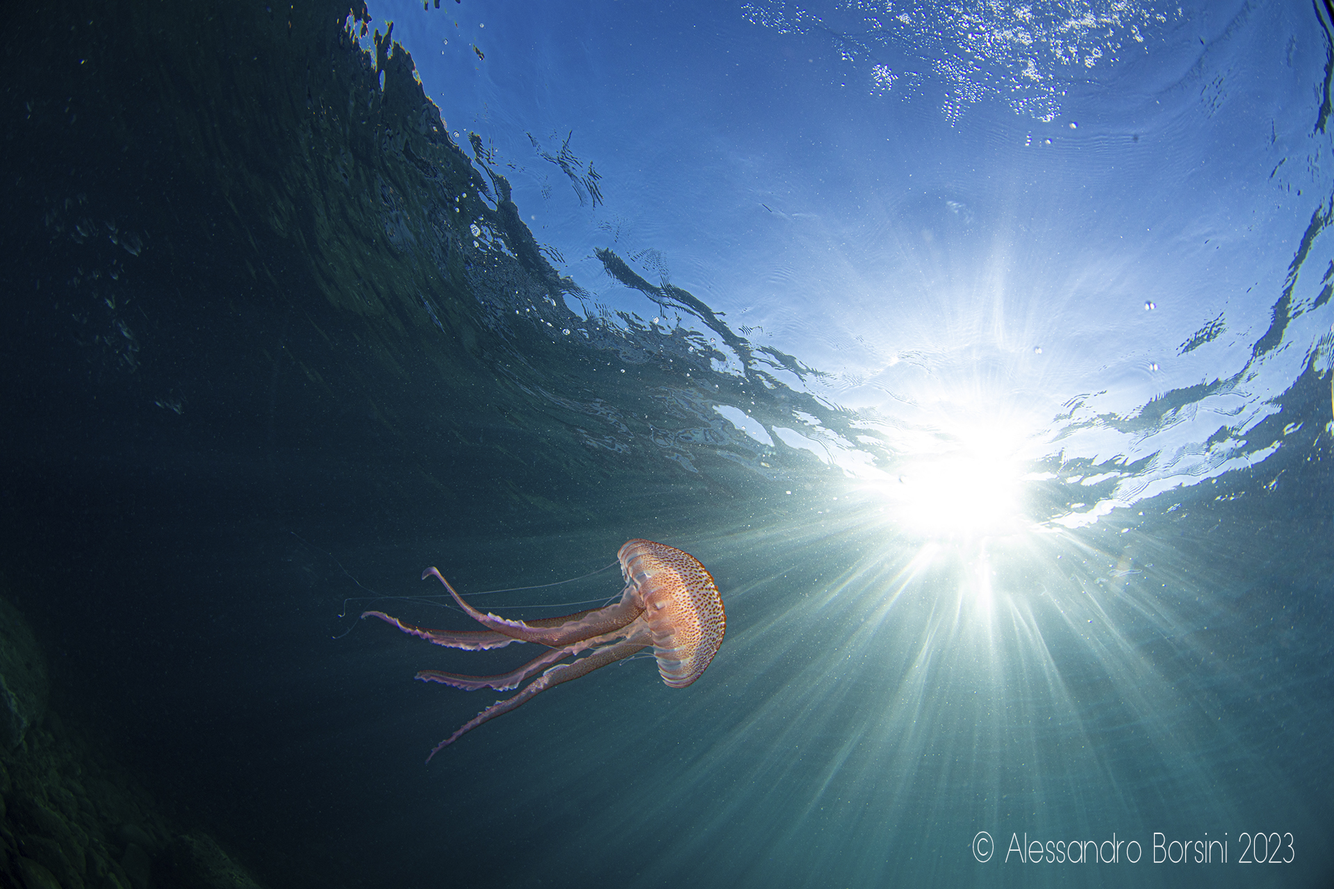 Ultimi raggi d'estate