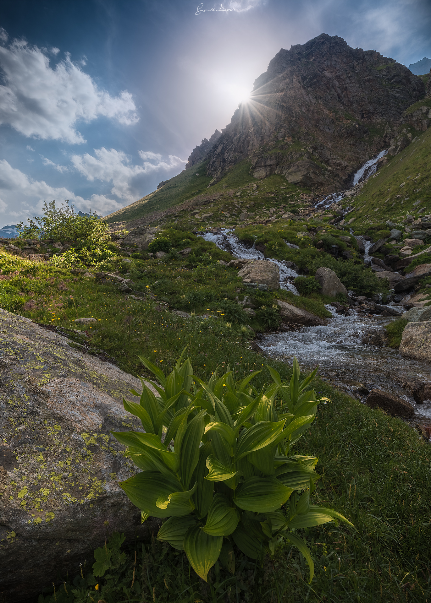 Controluce al  Nivolet