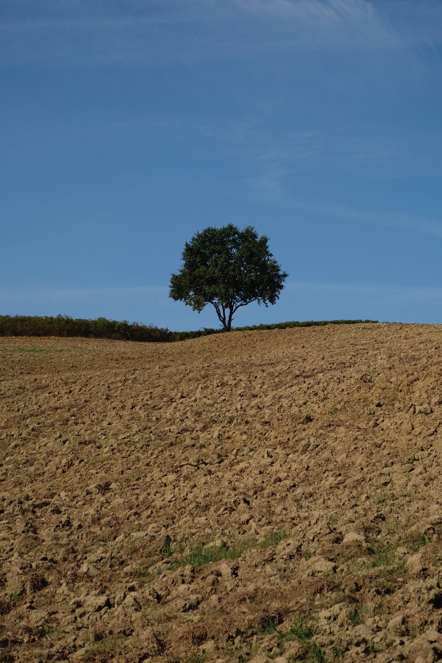 Untitled Photo