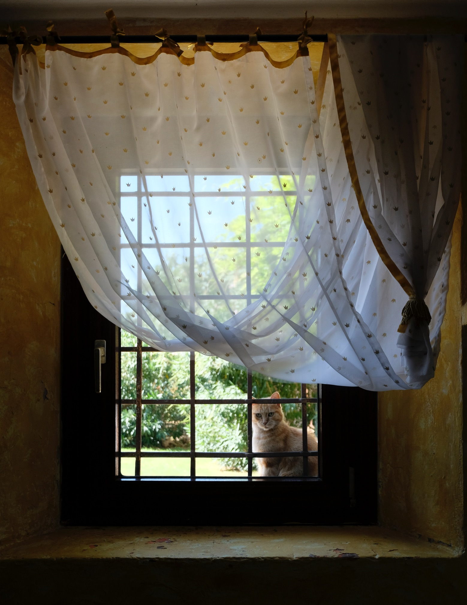 Untitled Photo