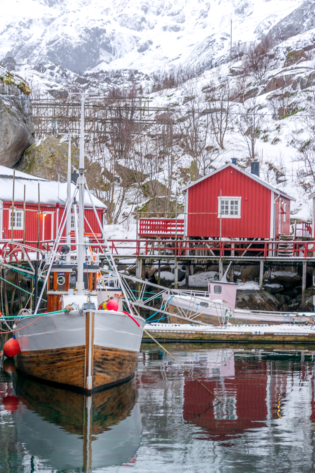 Lofoten's life