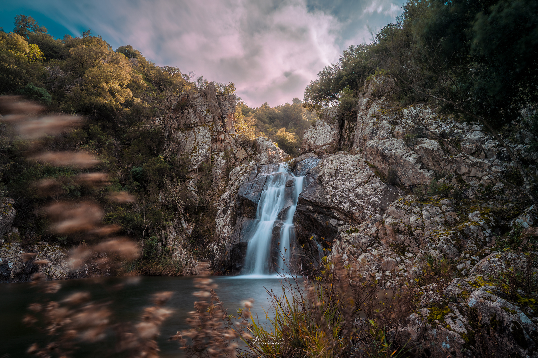 The Water of the Elm