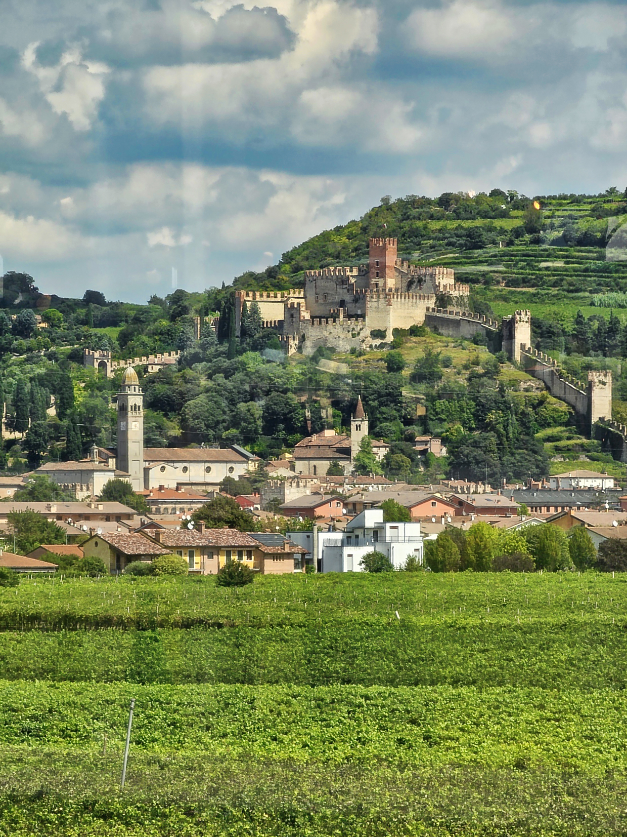 Soave from the glass with Samosung Galaxy