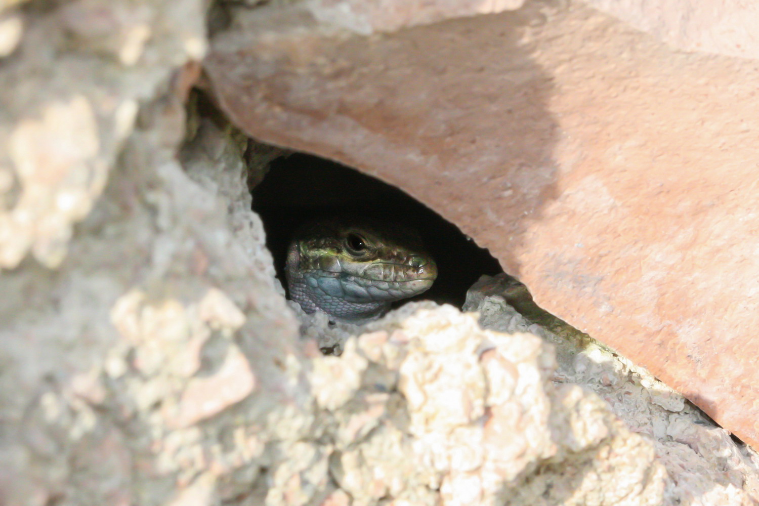 Waiting for the green light...