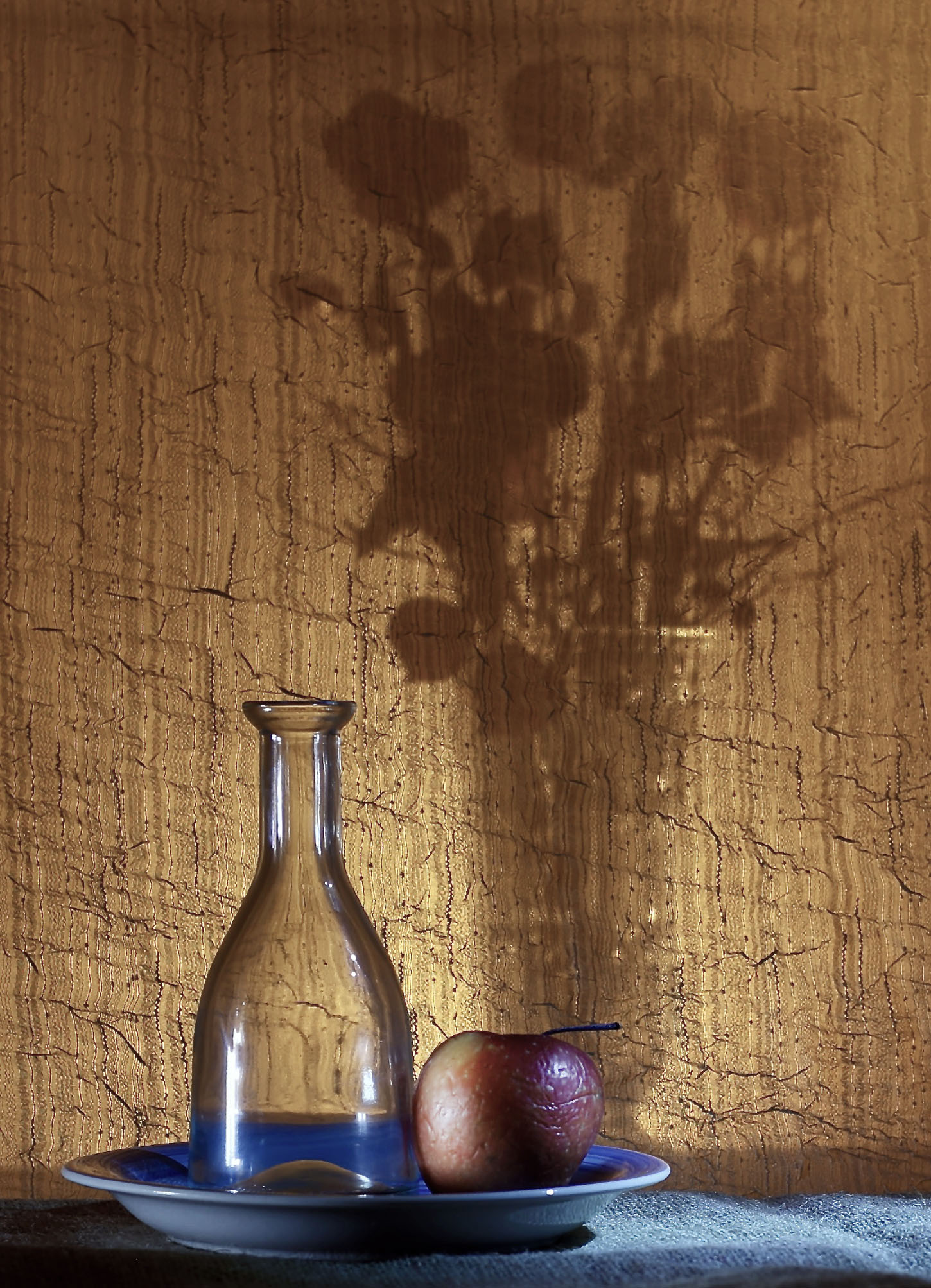 Still Life