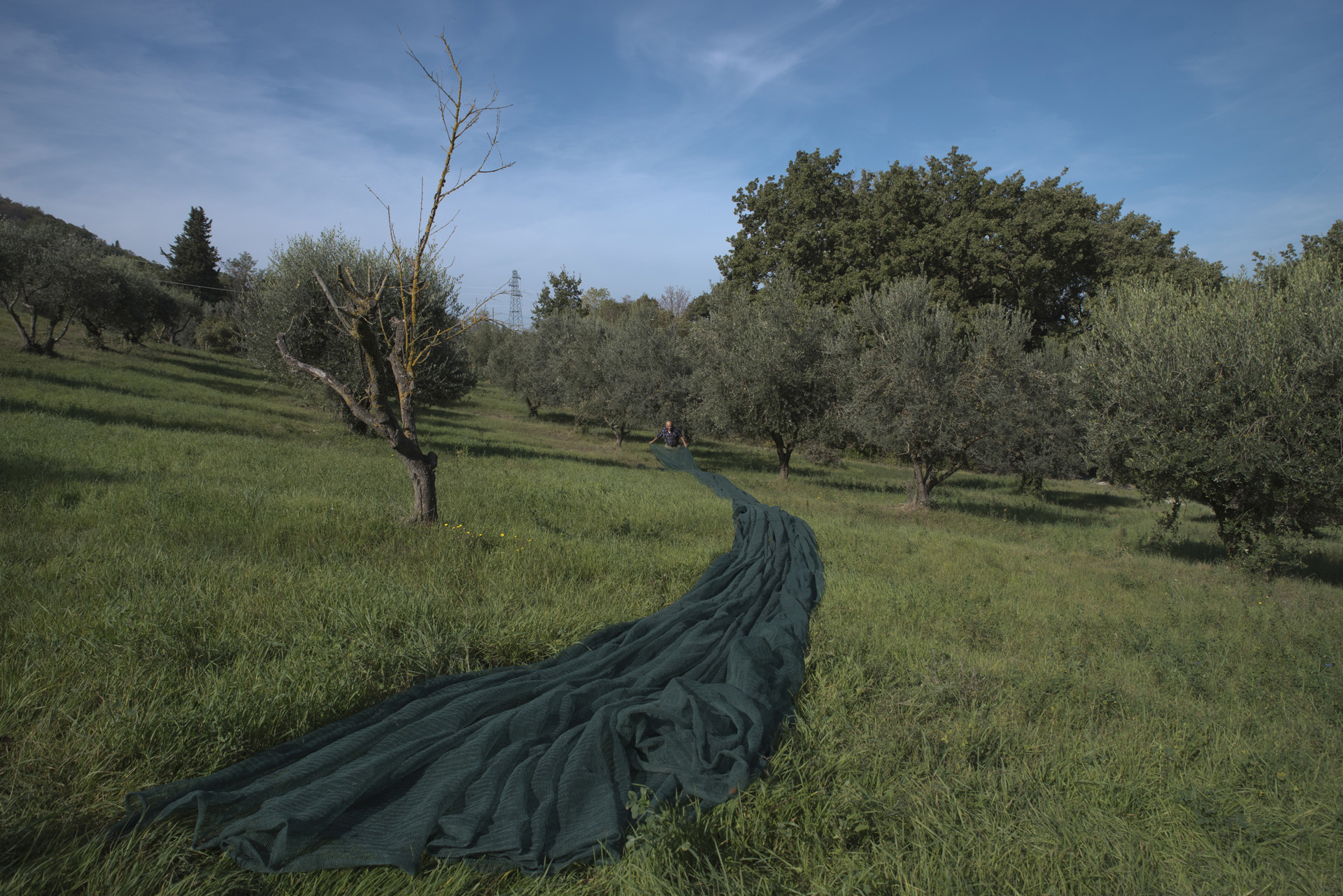 JPEG from non-post-produced RAW