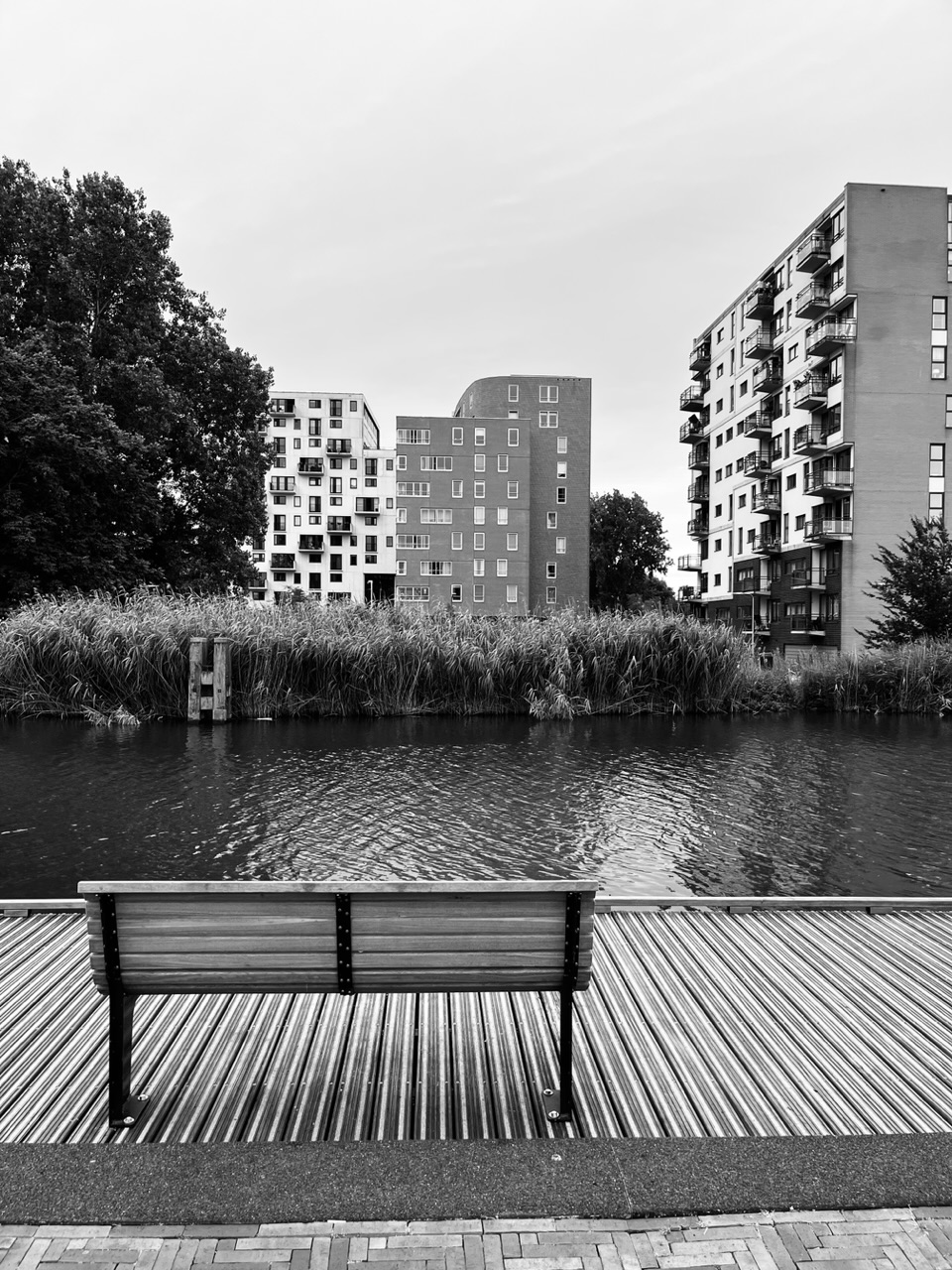 Amsterdam's bench