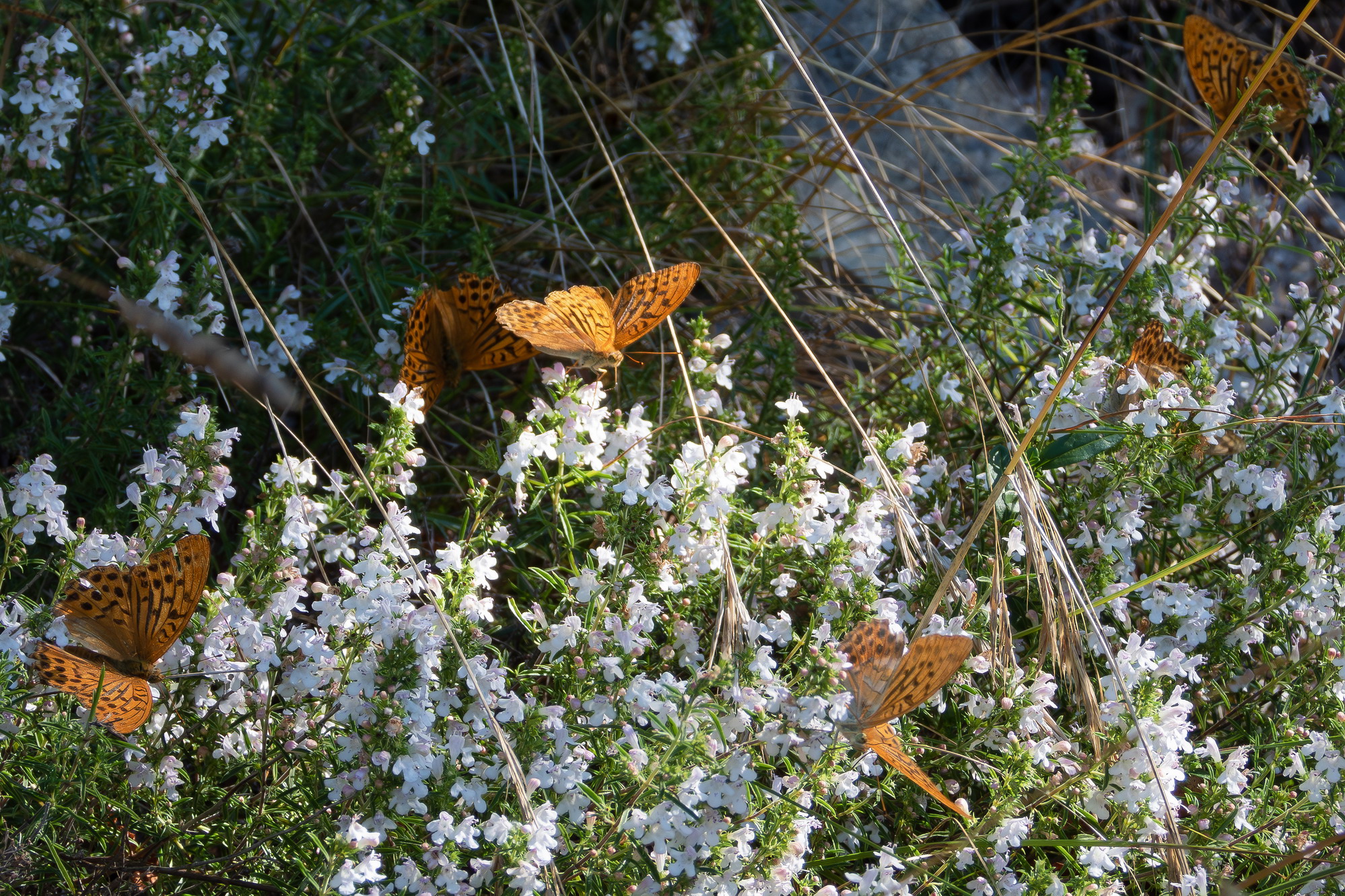 Gathering in the canteen