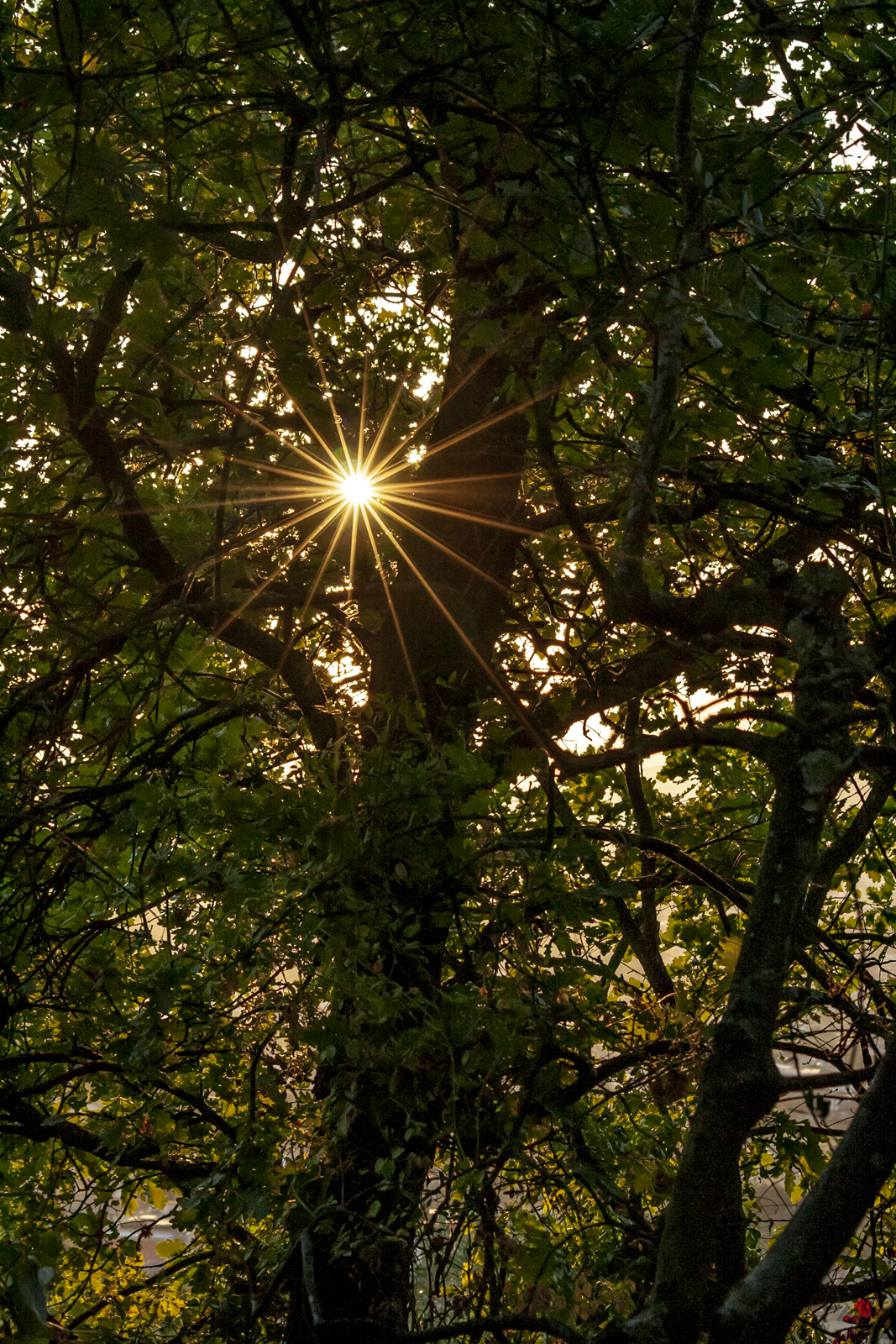 Untitled Photo