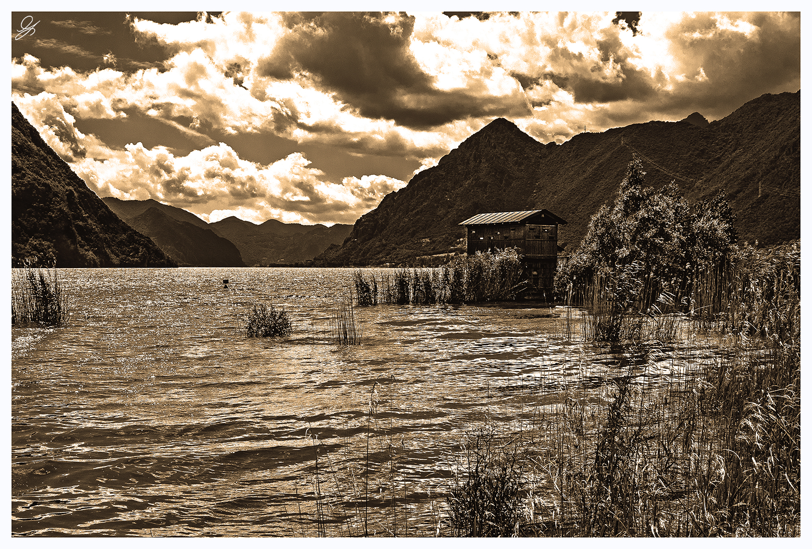 Afternoon at the lake