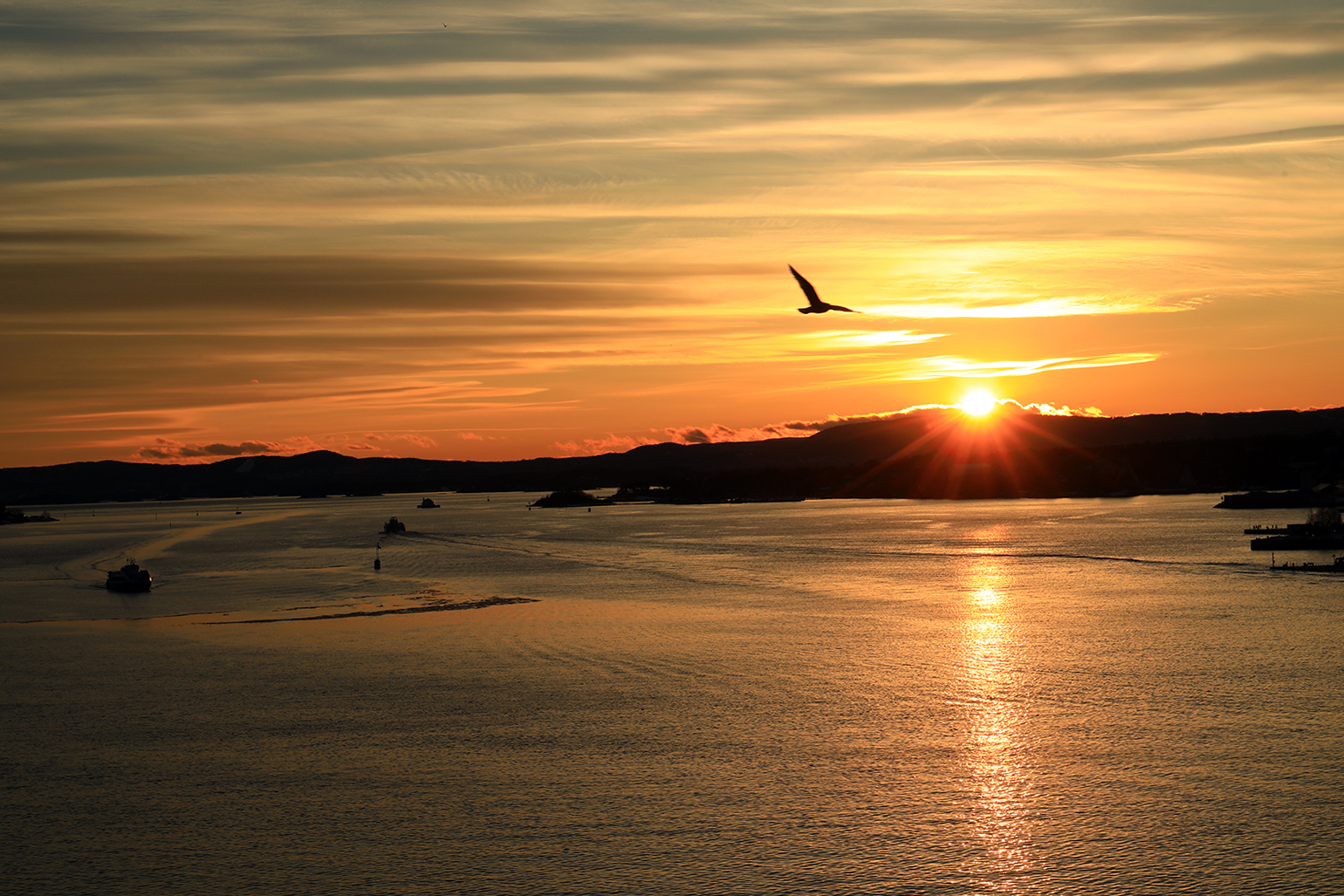 Flying towards the light!