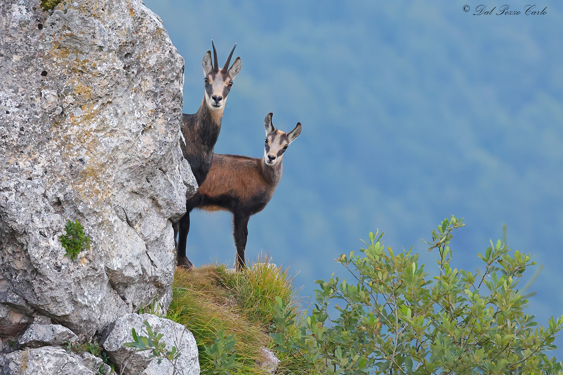 Playing hide and seek...