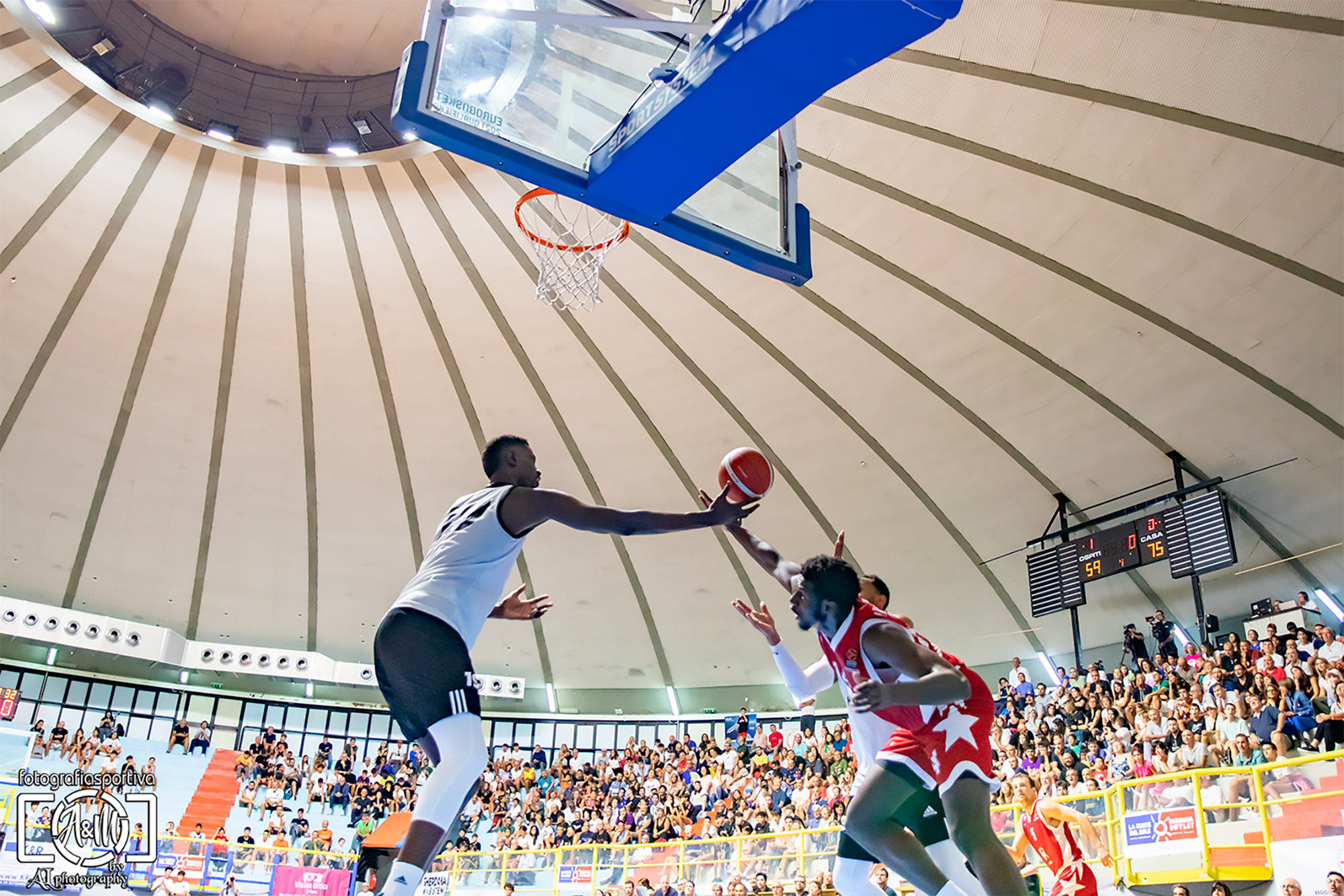 Basketball on fisheye