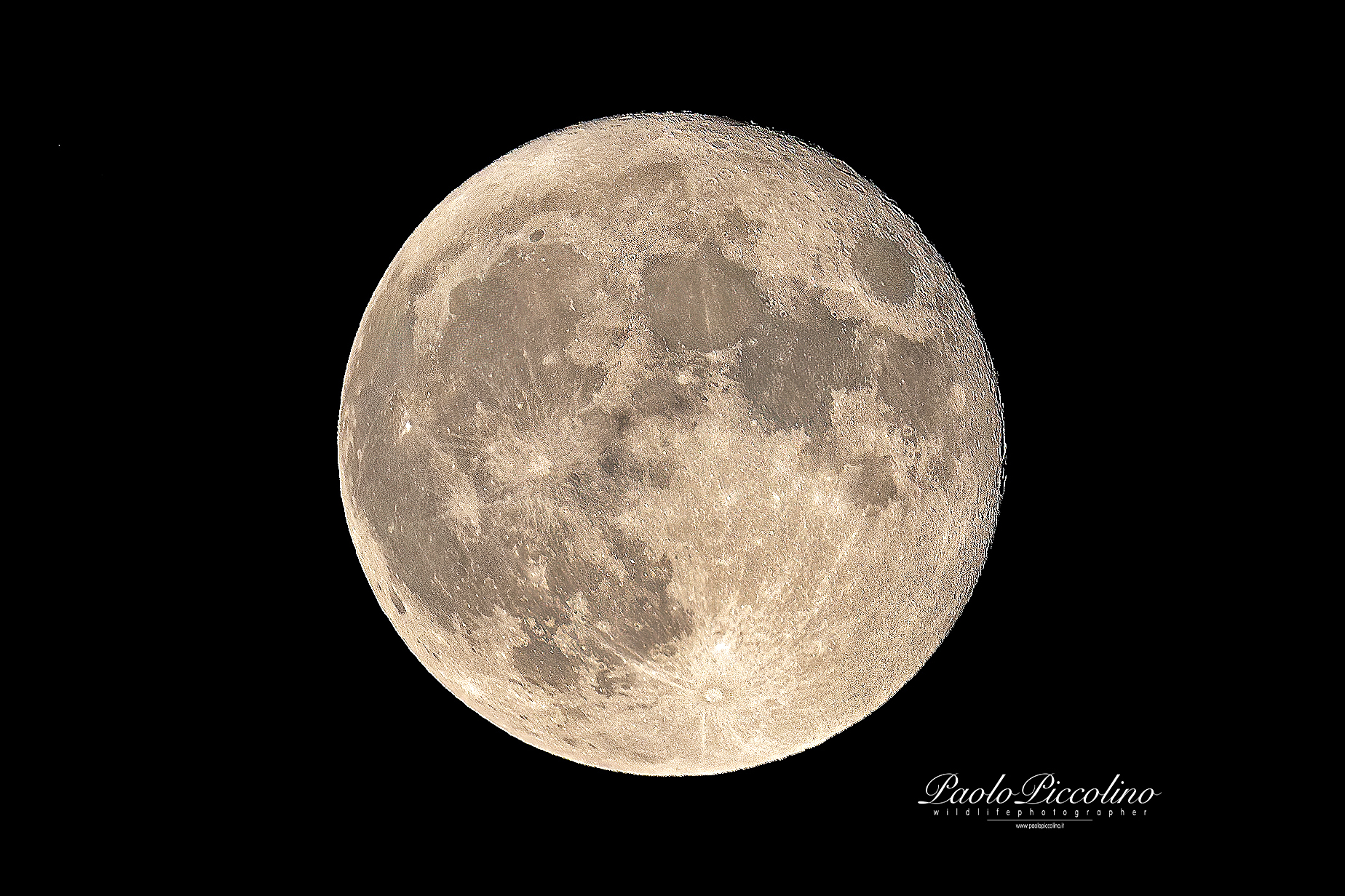 The Last Full Moon