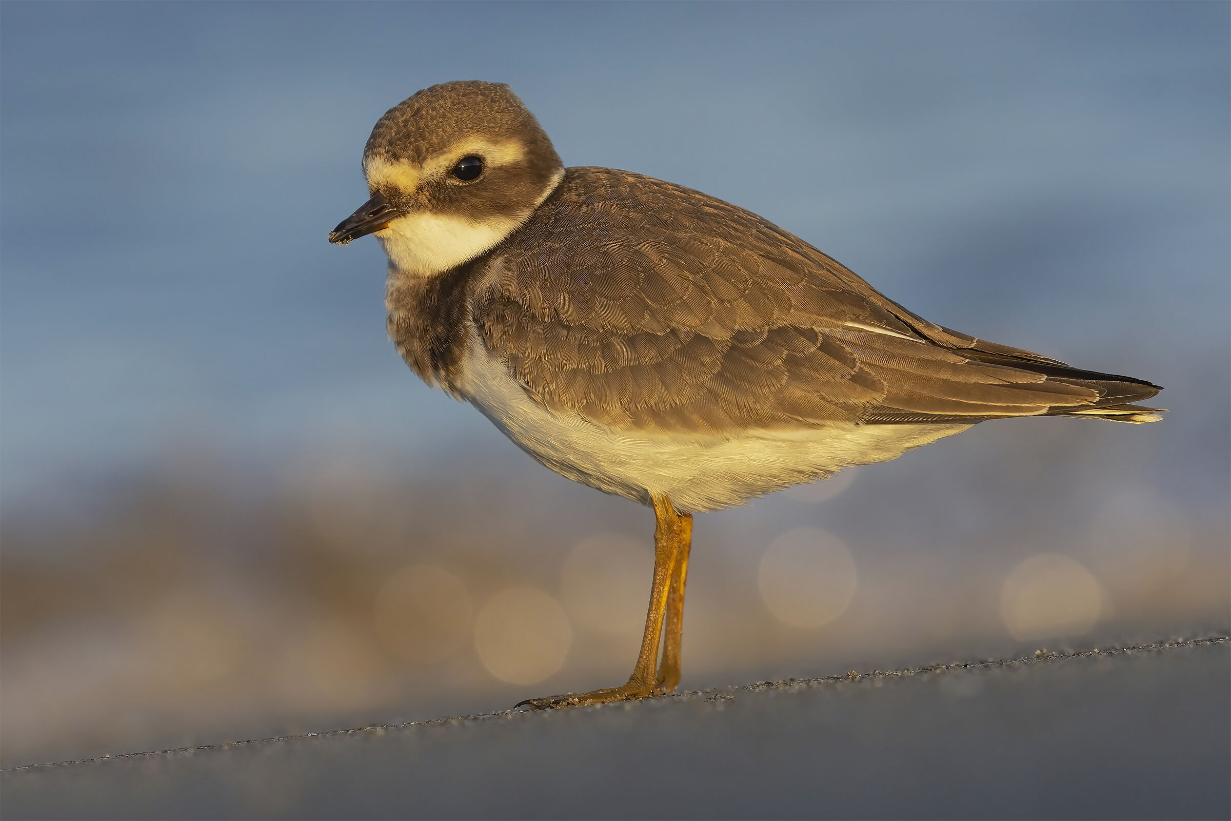 Corriere Grosso at first light ...