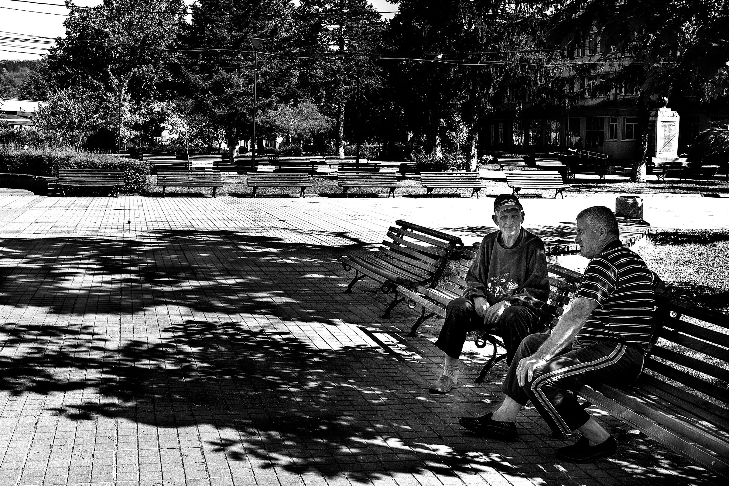 The park, the benches, the chatter in the shade.