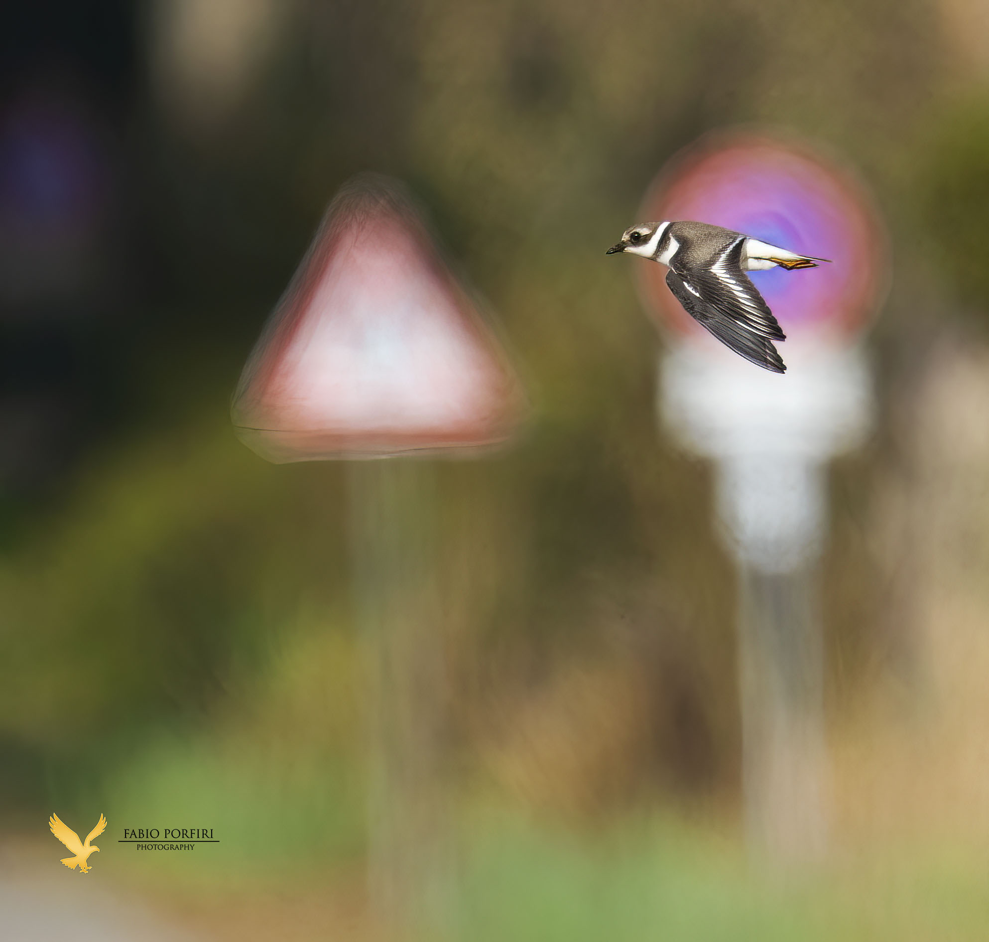 il corriere rispettoso del codice della strada