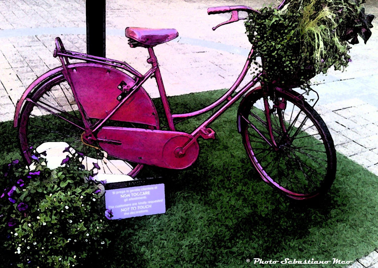 Bici Color con Fiori