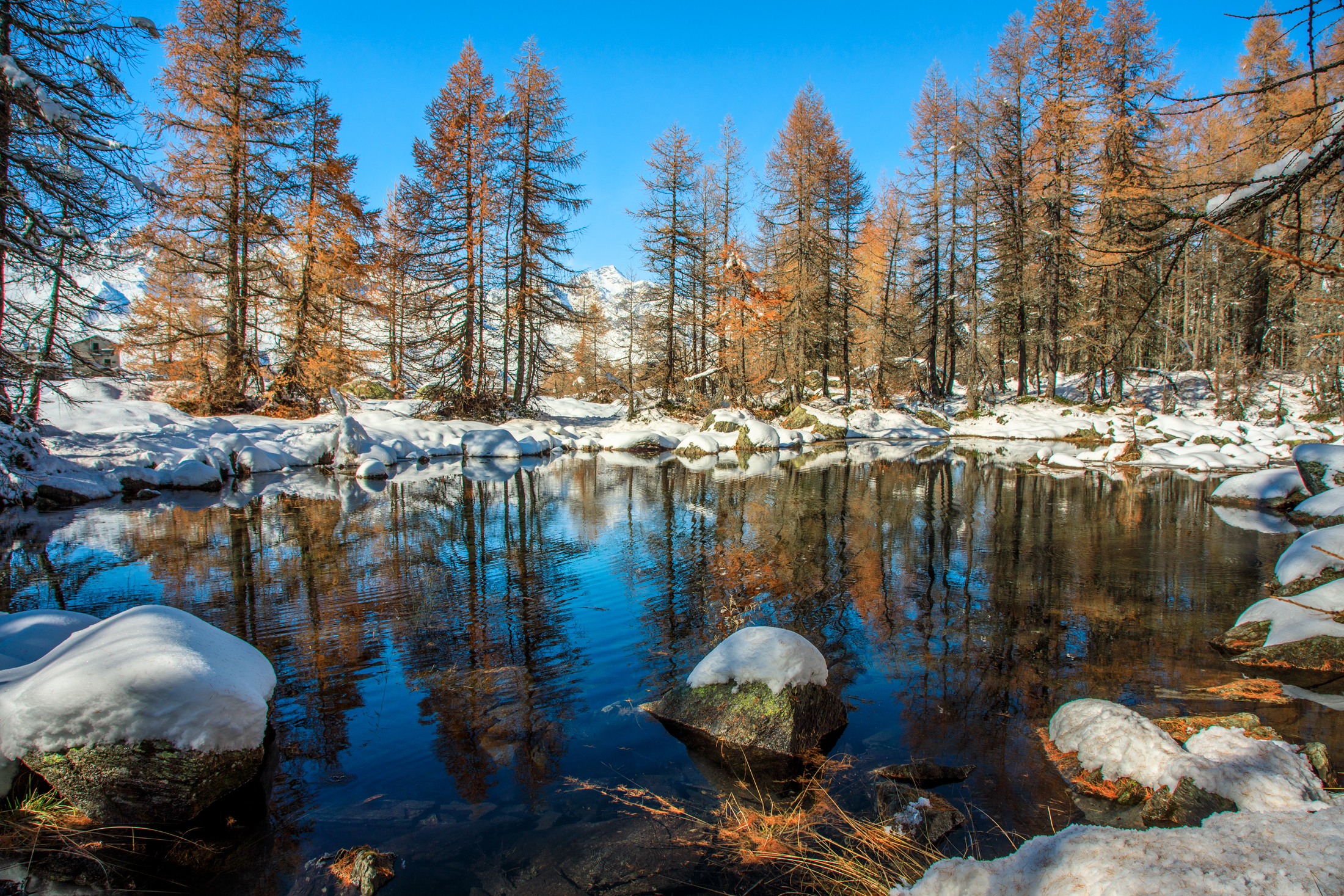 Reflections at the Blue Lake