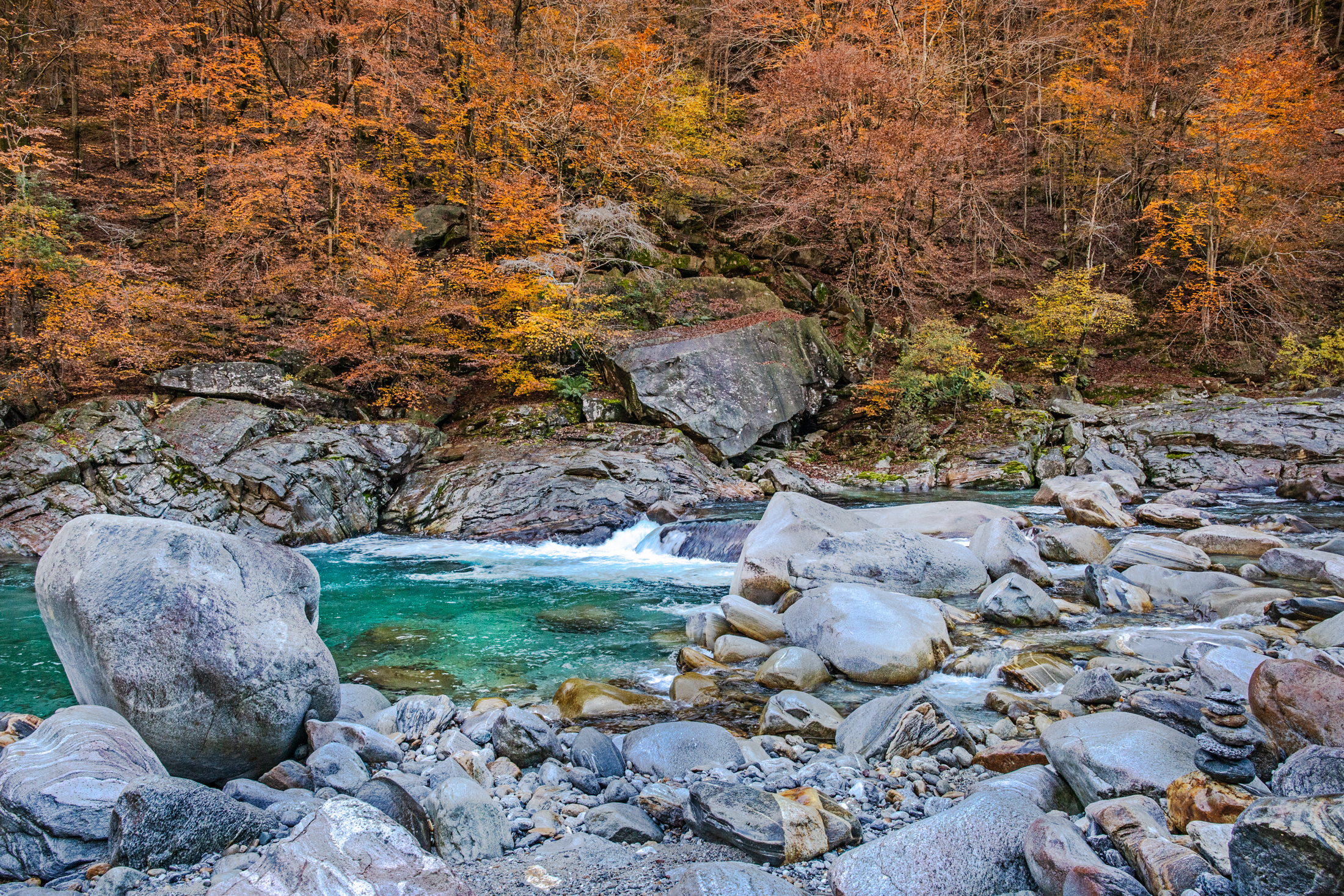 Autumn on the stream